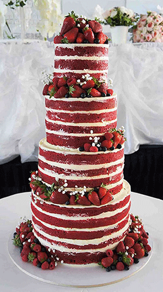 cake10web.gif.png