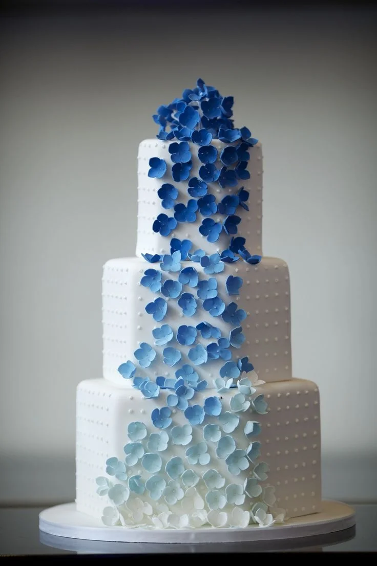 Ombre 5.jpg