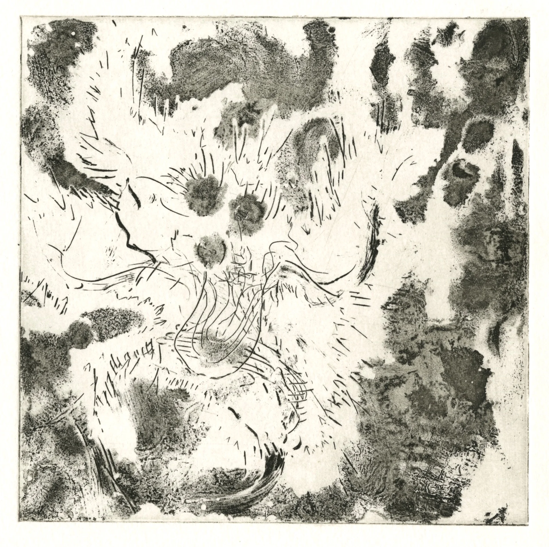 Graphite Ground Monster- Proof 1