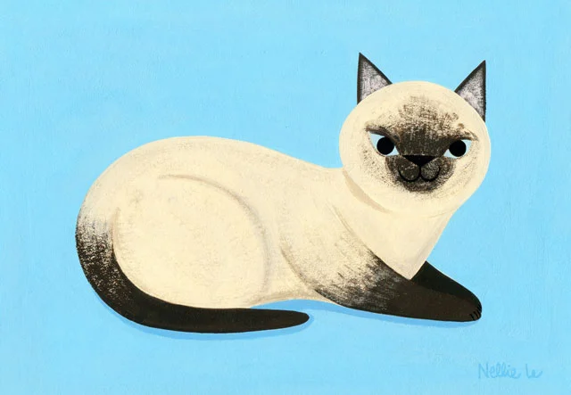 Siamese Cat