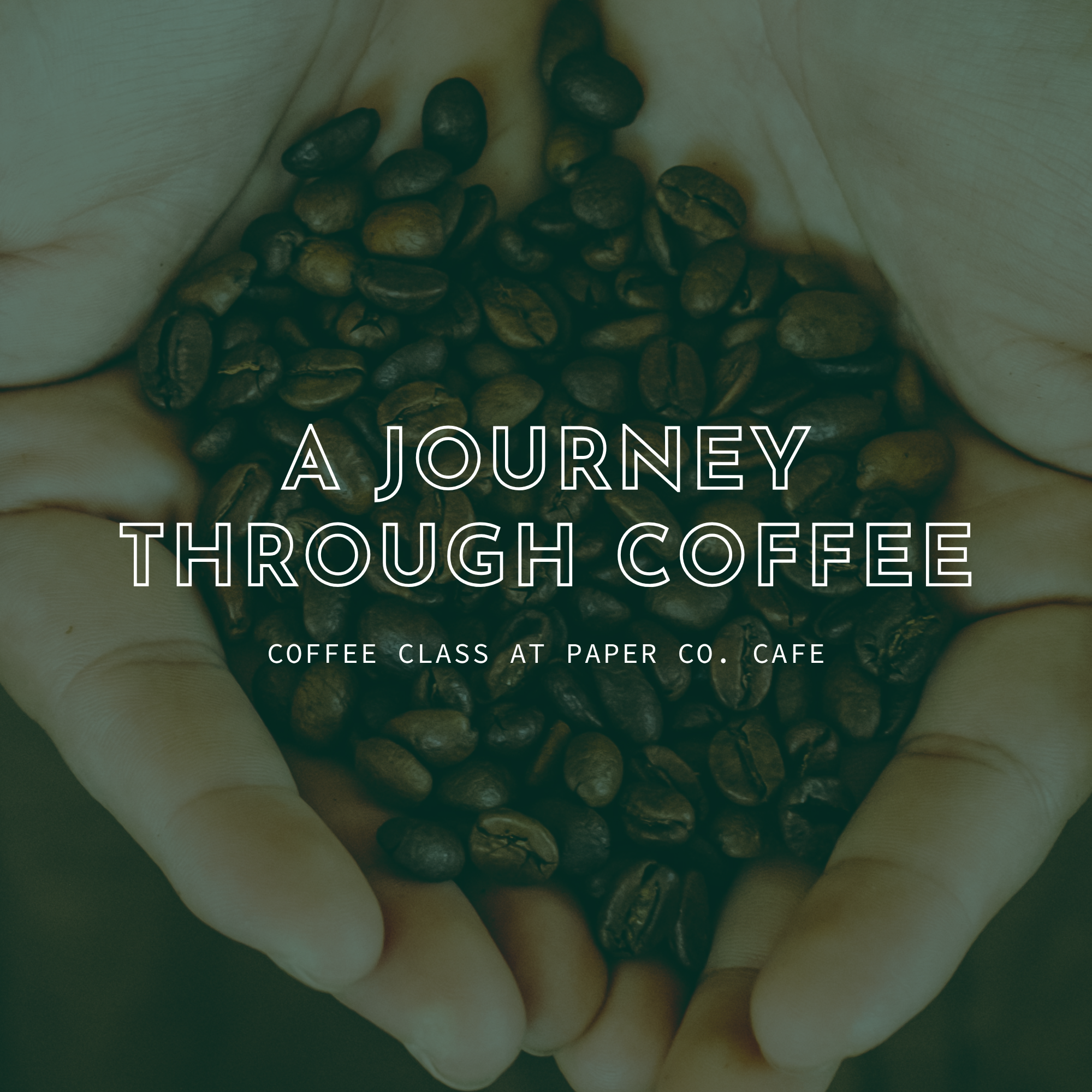 A Journey Through Coffee