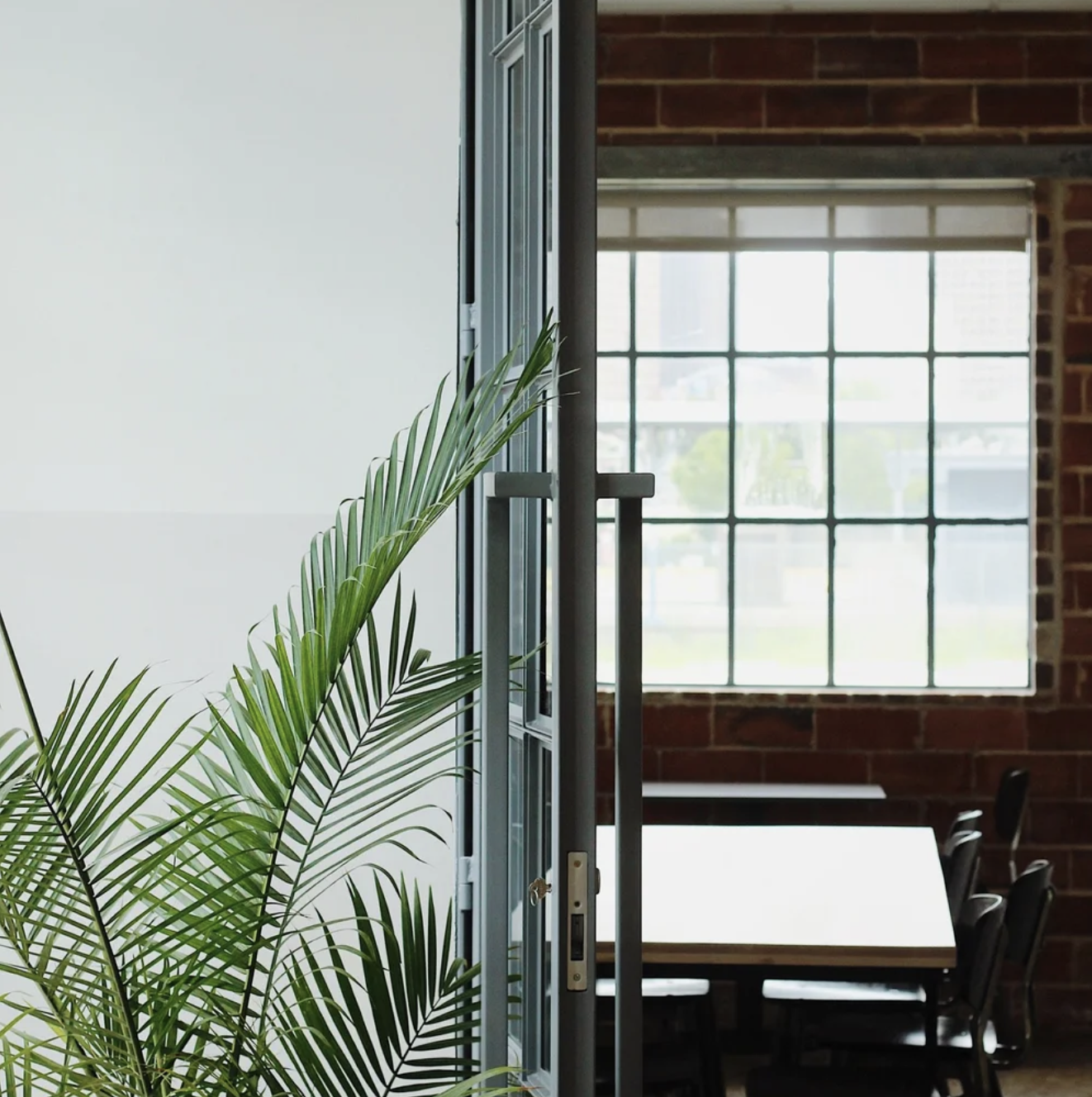 Plant Care Basics with Khi