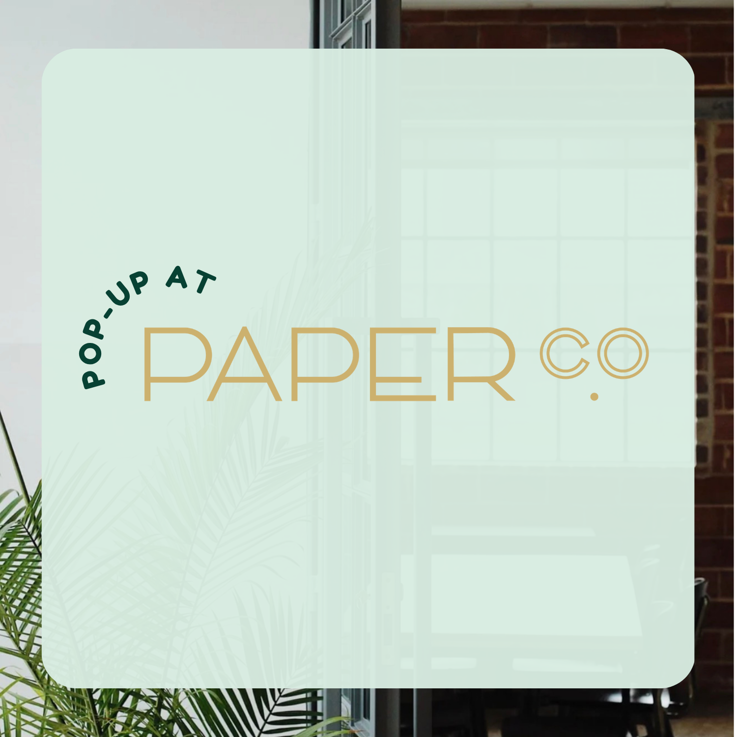 Pop-up at Paper Co. 