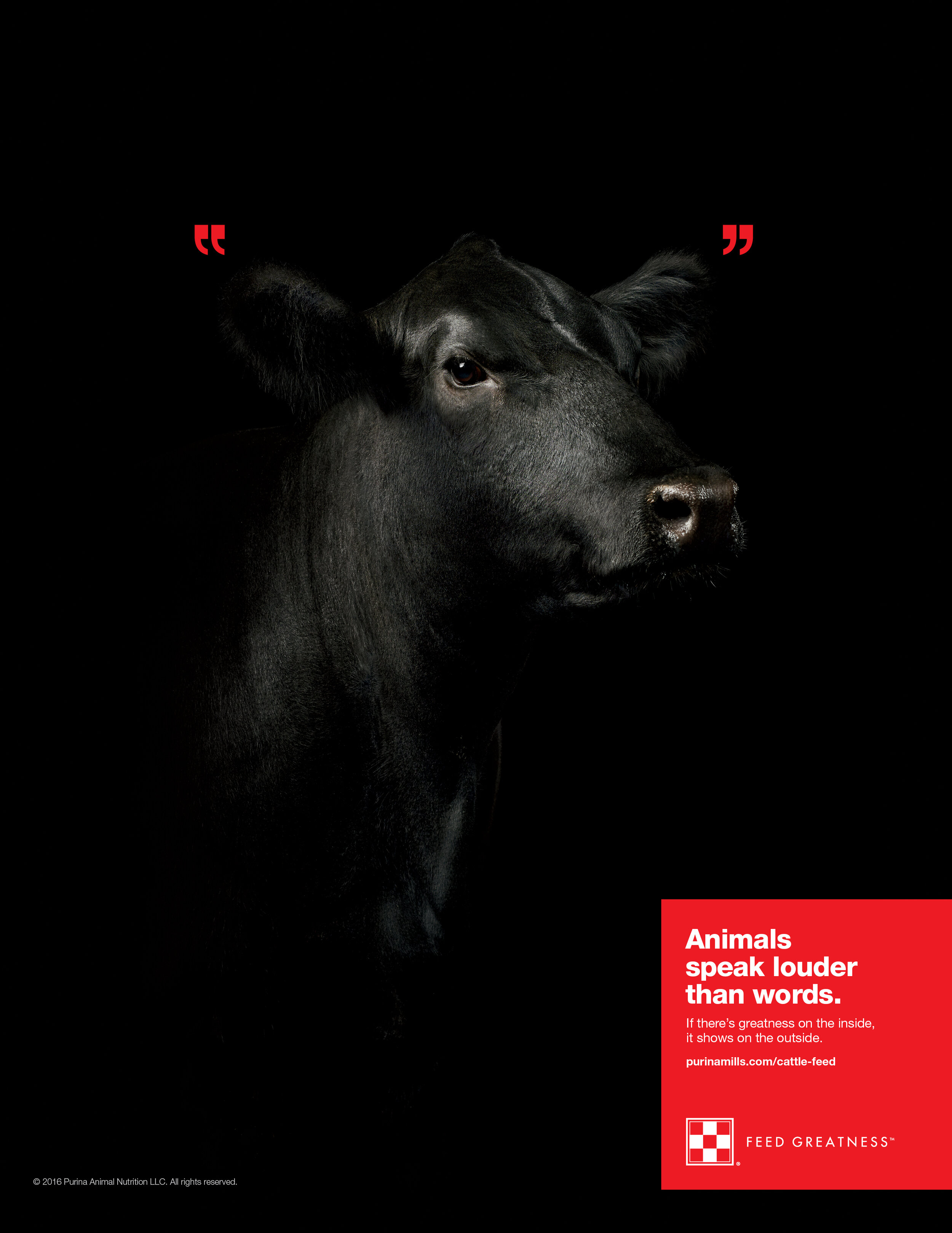 Purina_CattlePrint.jpg