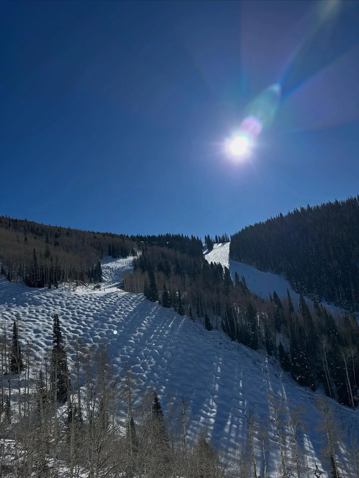 The firm had an extremely busy and full year last year and I&rsquo;m super excited to now have some time to ski! I kicked off the season with Jackson Hole, Crystal mountain and Steamboat and they all had snow stashes. Next up Alta Utah!