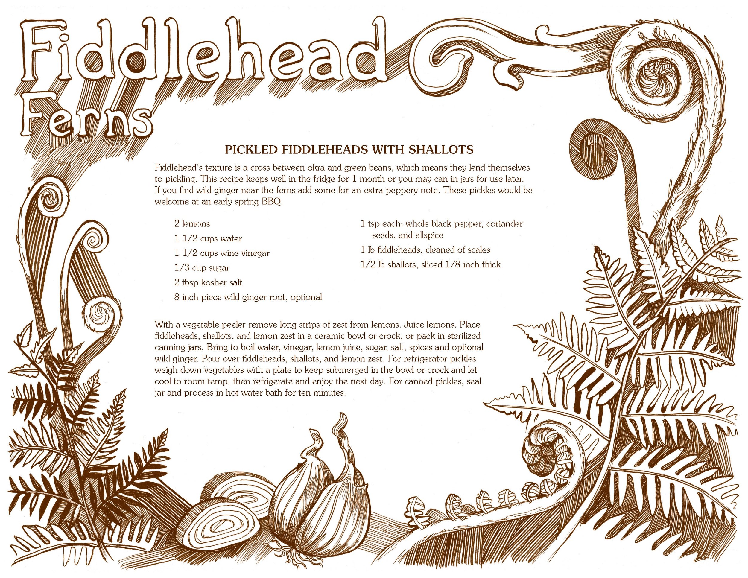 Foraged-and-Found-Pickled-Fiddleheads.jpg