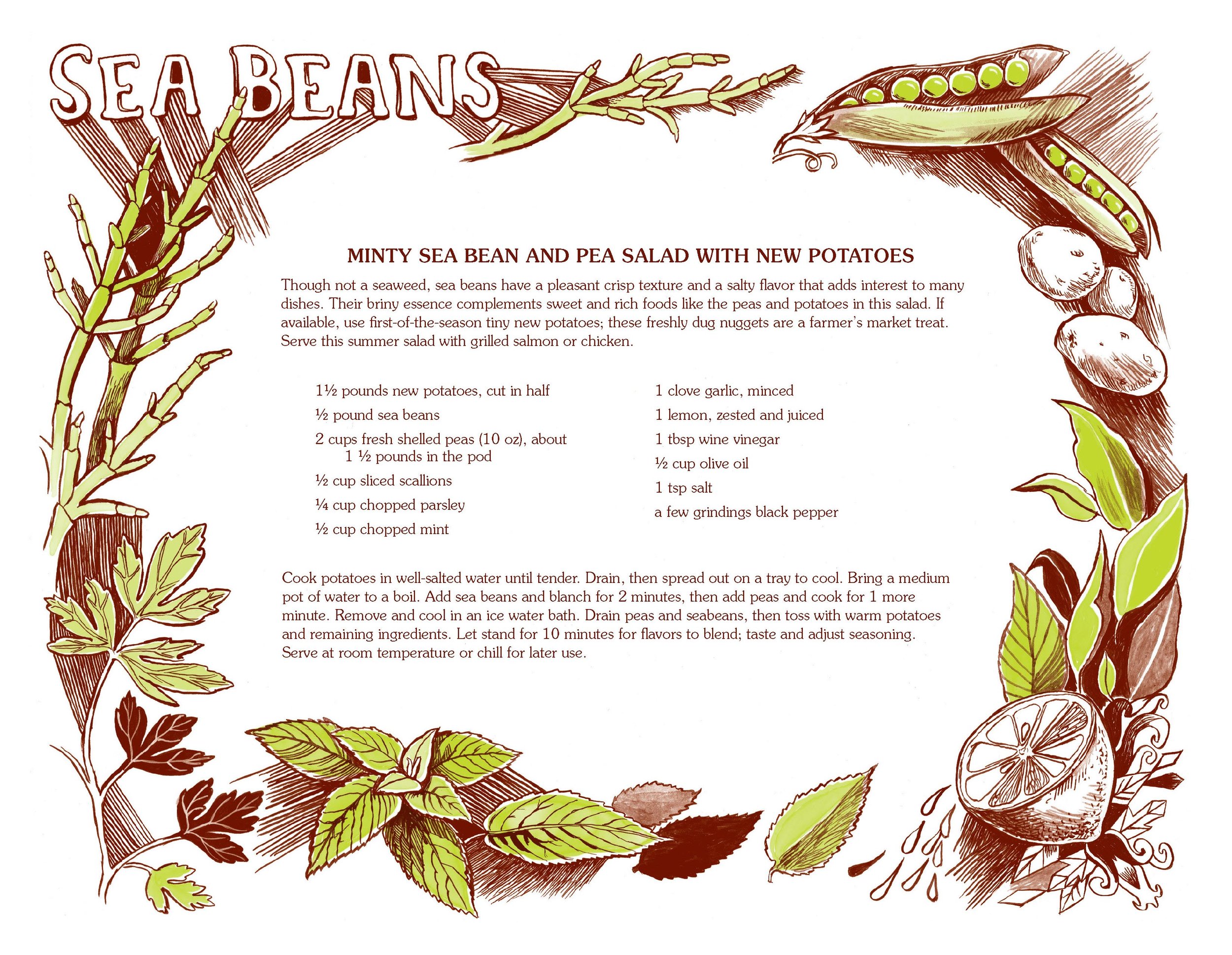 Foraged-and-Found-Sea-Bean-Salad.jpg