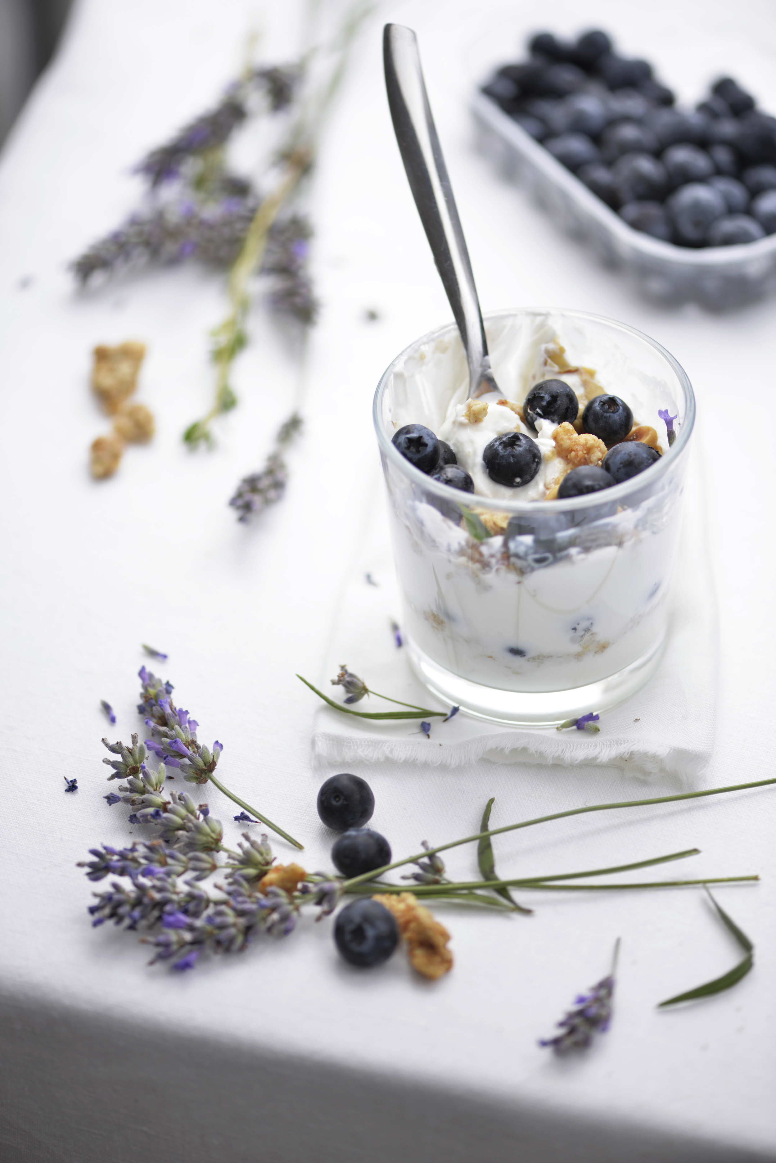 Food Photography Greek yogurt, Muesli and Blueberries with Lavender and Thyme