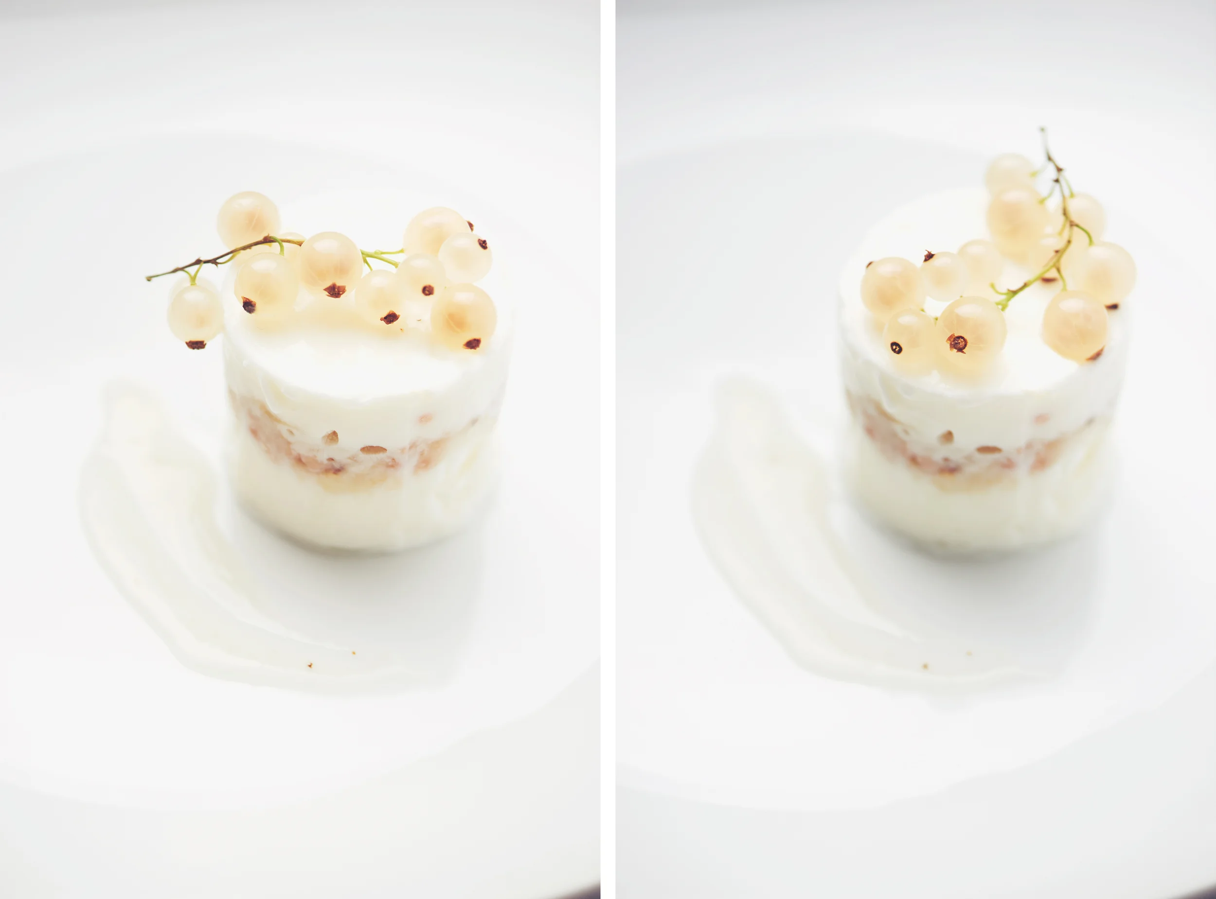 Food Photography White Currant Frozen Greek Yogurt