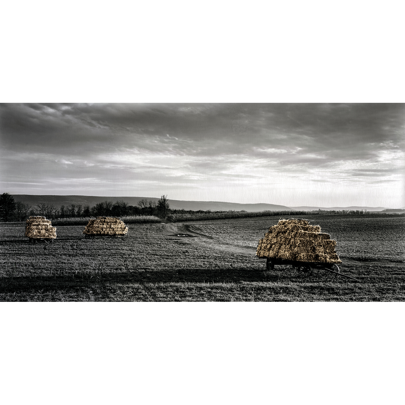 Rural_Impressions_Haywagons-Edit.jpg