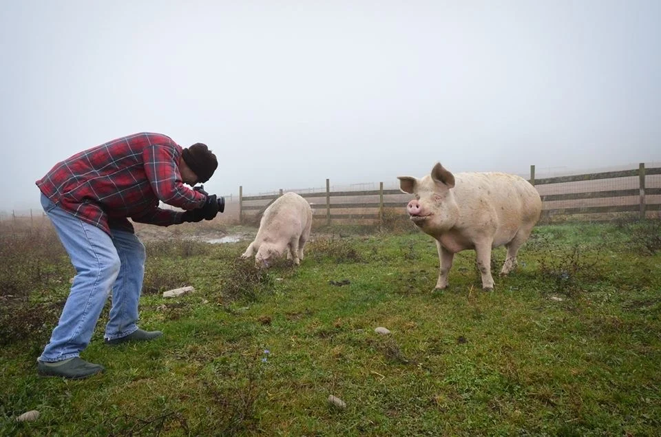 photographing at Farm Sanctuary