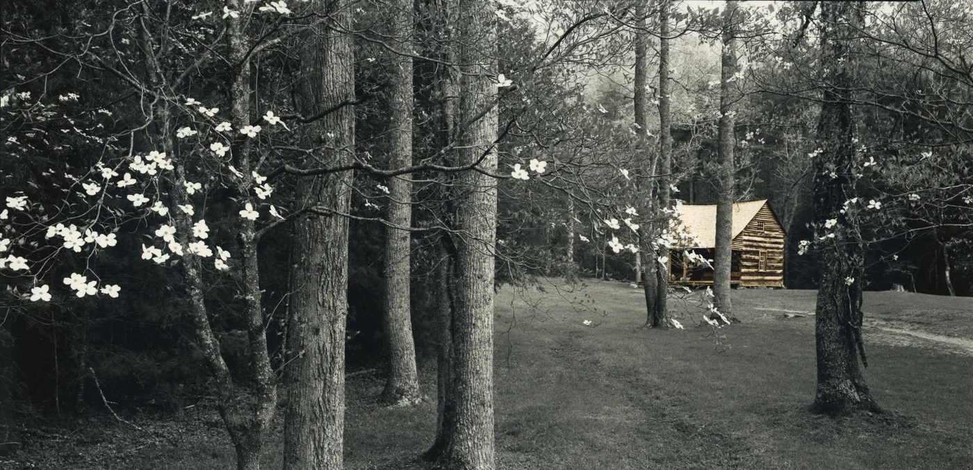 cadescove.jpg