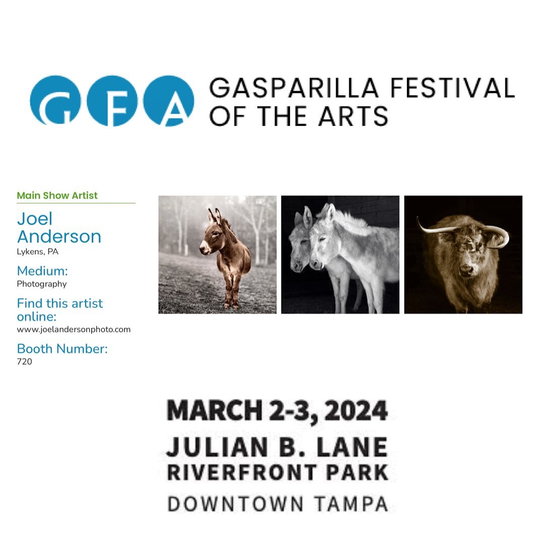 I&rsquo;ll be in Florida this weekend for the @gasparillaarts festival, booth 720 with photographs from my project Sanctuary. #gasparillaarts