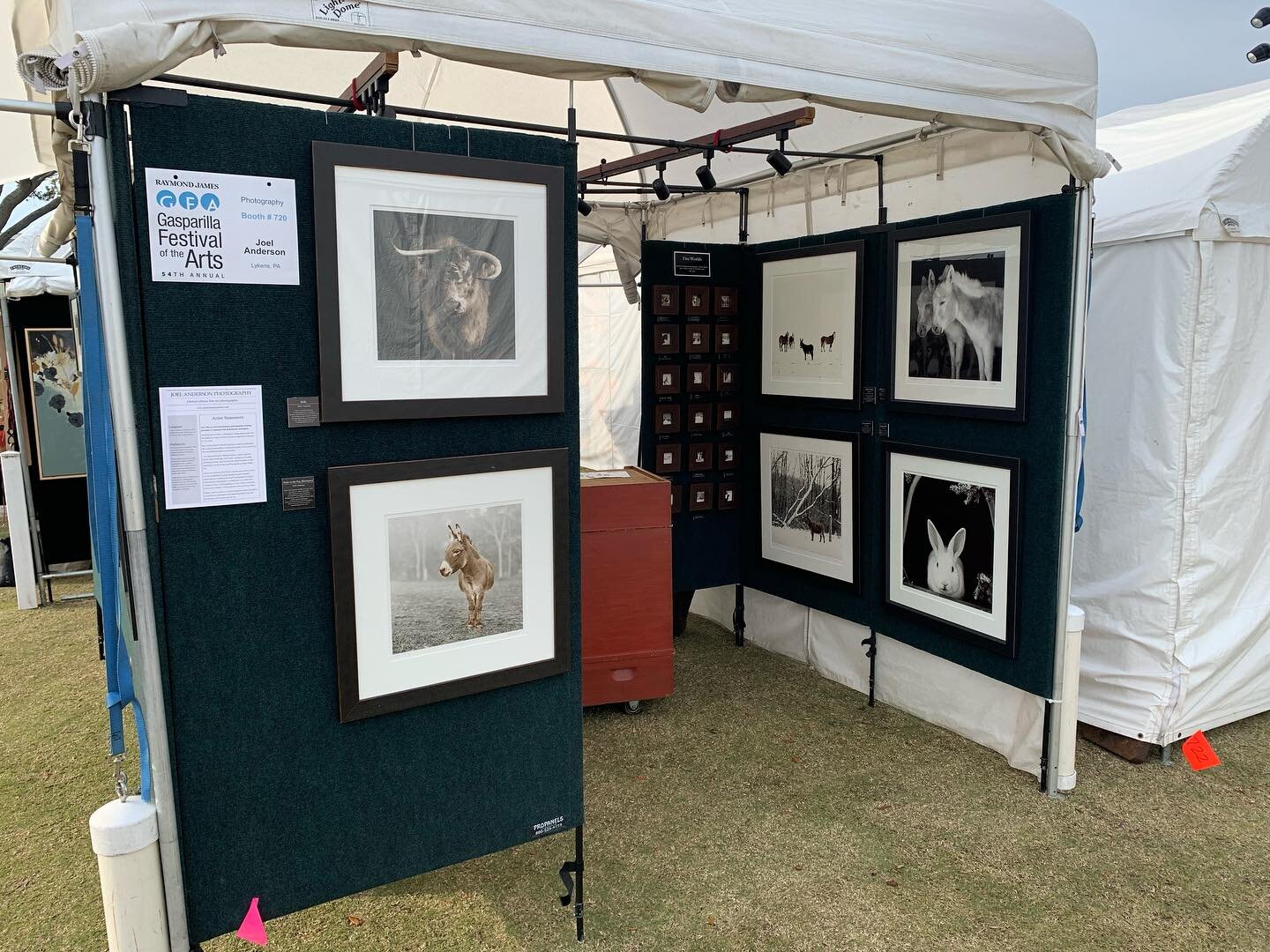 Ready for @gasparillaarts today and tomorrow, along the riverfront in Tampa. I&rsquo;m in booth 720 with photographs from my project Sanctuary #gasparillaarts #photography