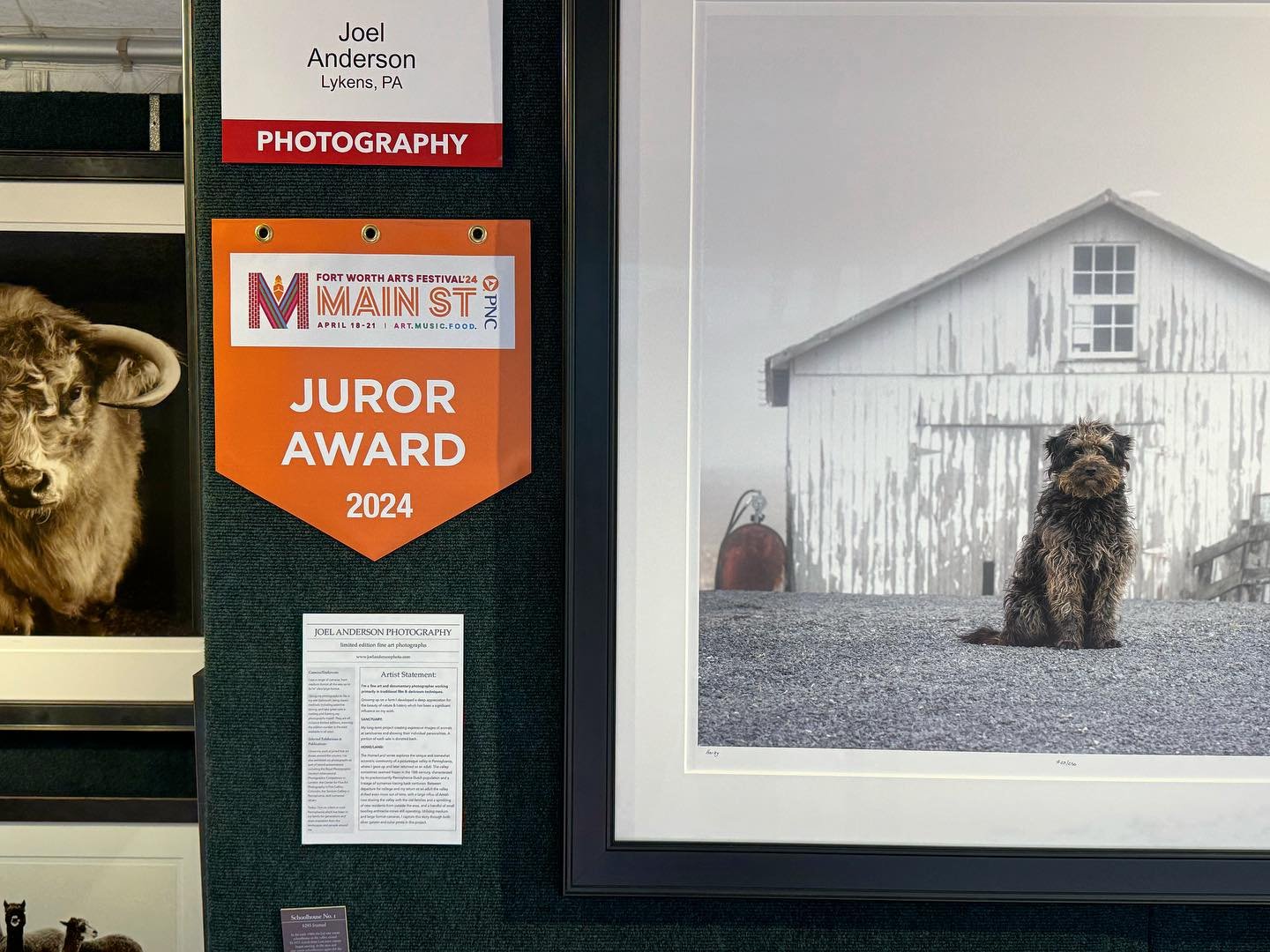 Day 2 of @mainstreetartsfest started with a nice surprise, a juror award. Thank you! #fineartphotography #mainstreetfortworthartsfestival