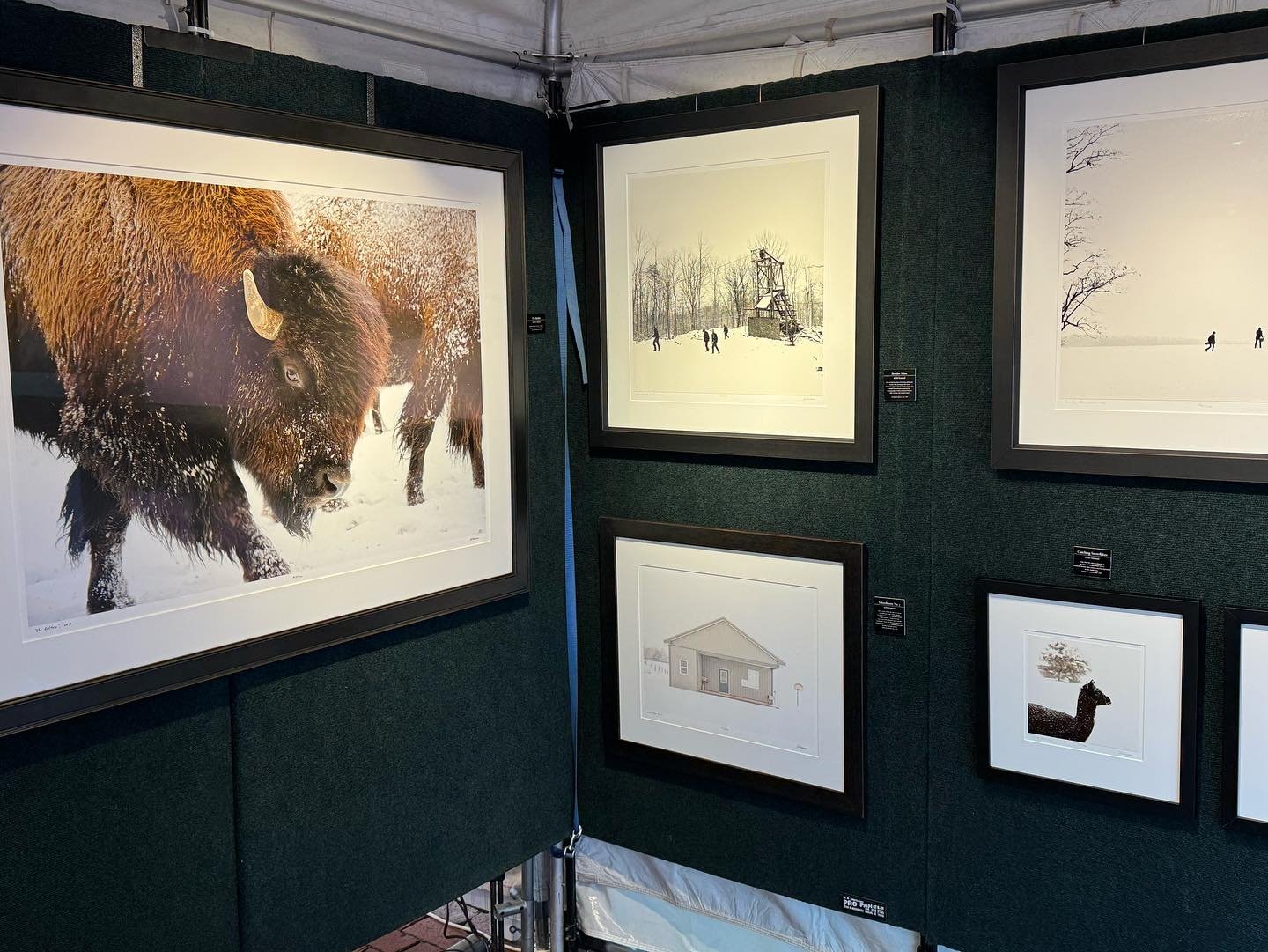 Last day of @mainstreetartsfest and weather is great after yesterday&rsquo;s rain. The large buffalo photograph just sold but come see what other photographs I have. I&rsquo;ll be here in booth 628/630 until 6 #mainstfortworthartsfestival #fineartpho