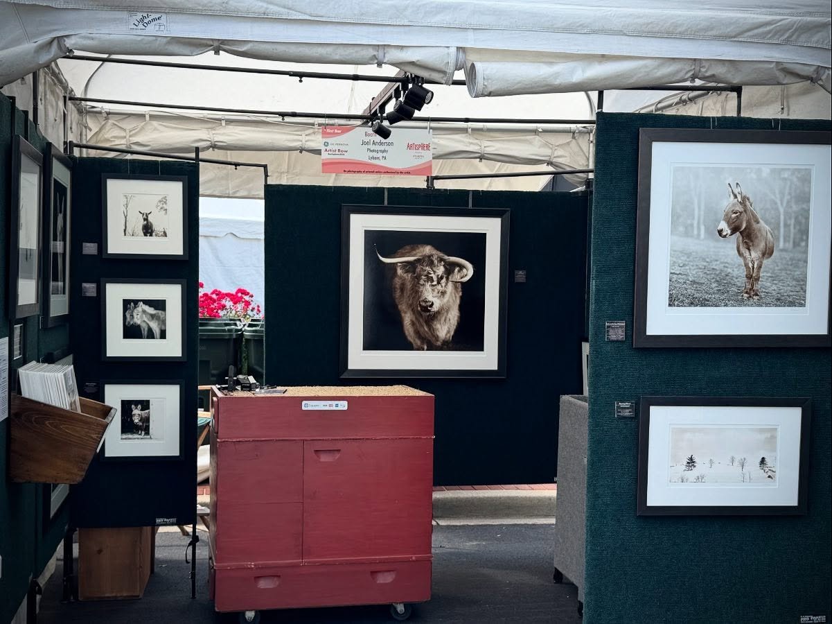 Getting setup here @artisphere for the noon start of the three day event. I&rsquo;ll be in booth 404 with photographs from my project Sanctuary #fineartphotograghy #artisphere