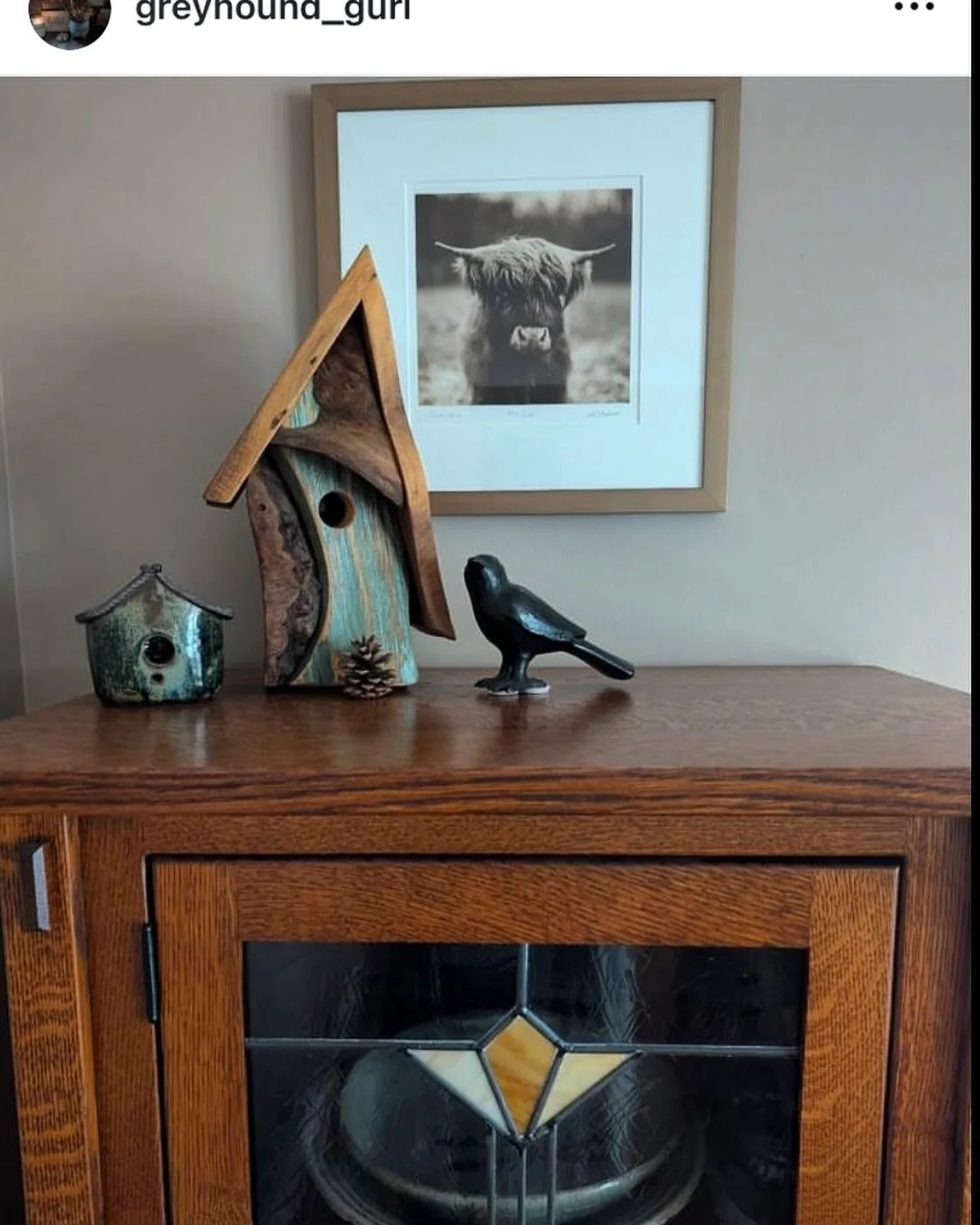 My portrait of Junior the highland calf at home in a beautiful living room. I photographed Junior and his parents Scotty and Nessie some years ago with a Hasselblad 203fe film camera. #fineartphotography