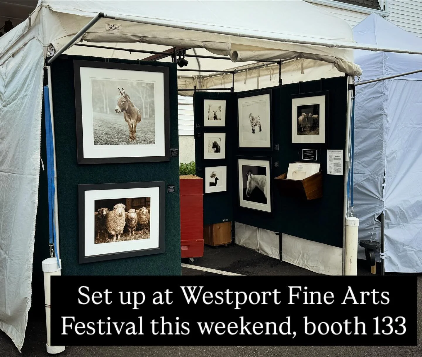 Lovely Memorial Day weekend here in Connecticut @westportdowntownofficial #fi̇neartphotography #westportfineartsfestival