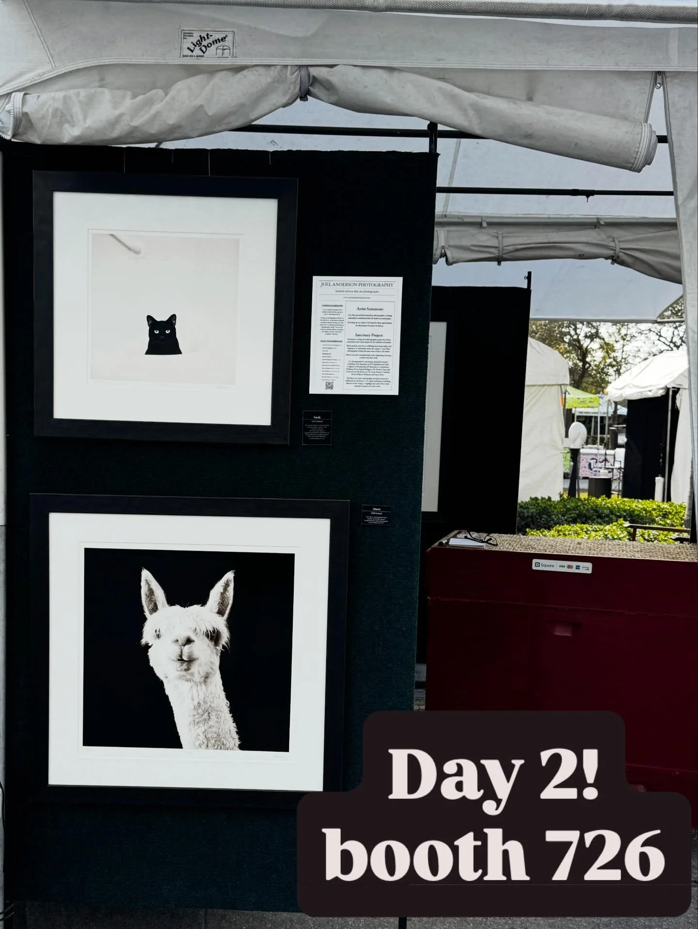 Day 2 in beautiful Miami @coconutgroveartsfestival #fi̇neartphotography #coconutgroveartsfestival