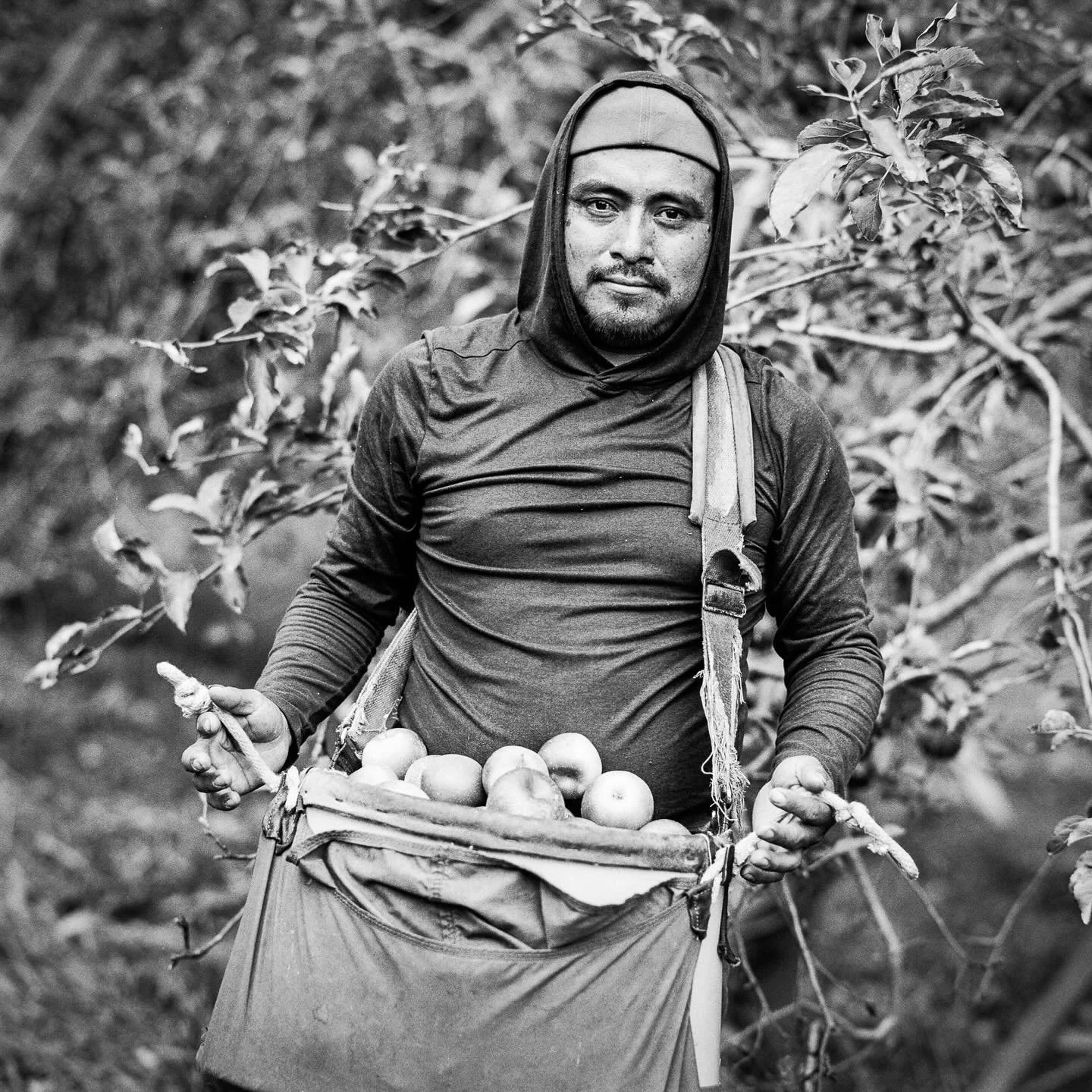H-2A: This is from a series of portraits I&rsquo;ve taken over the past few years in the apple orchards of Pennsylvania. These are seasonal fruit pickers from Mexico and South America here on H-2A visas, a way of life for both the workers and the Ame