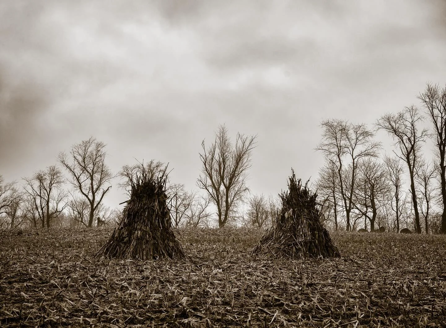 A new one from I&rsquo;ve been working on from the Home/Land project #fineartphotography