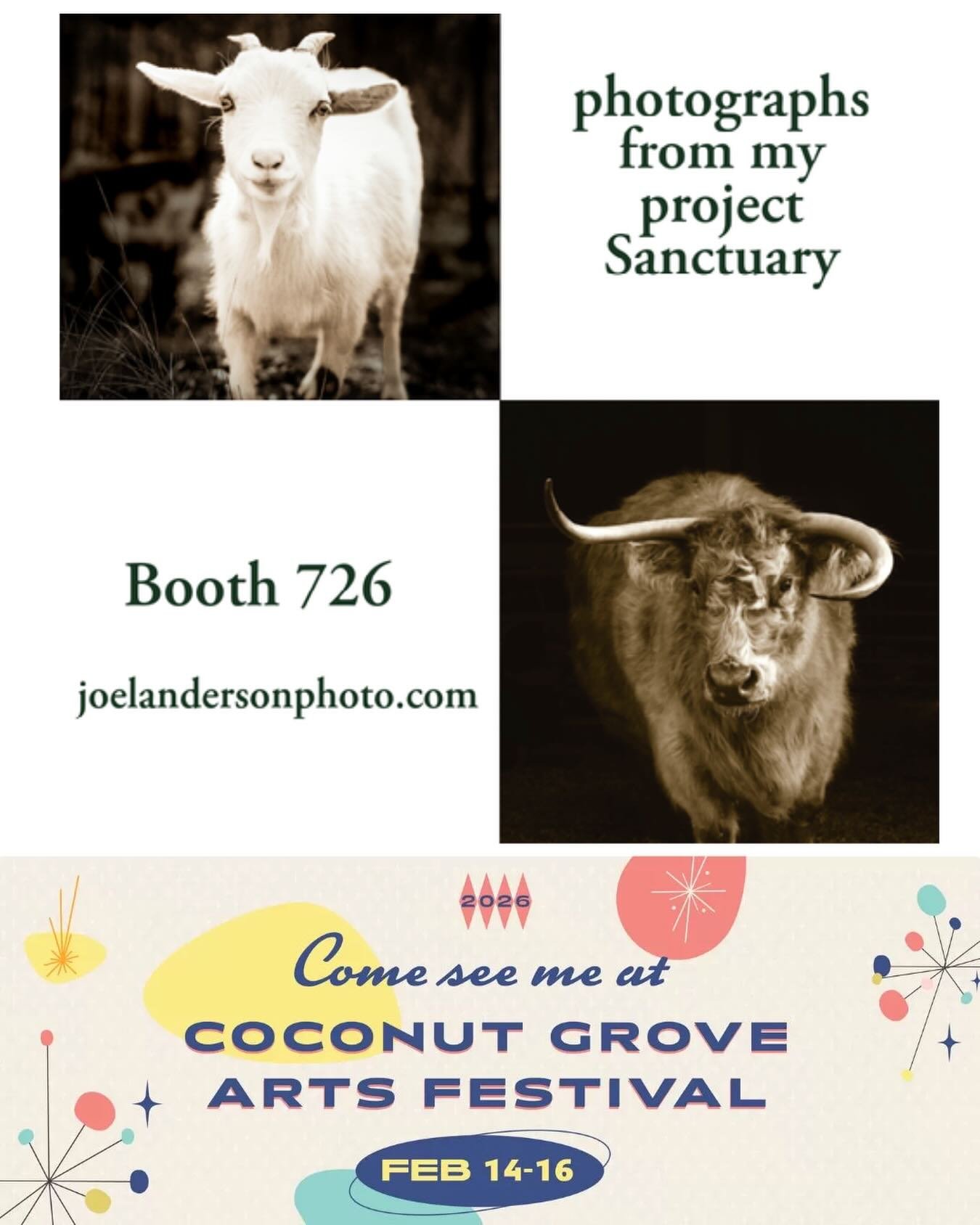 Heading out of the Pennsylvania snow and to sunny Miami and @coconutgroveartsfestival this weekend. I&rsquo;ll be in booth 726 this weekend with limited edition photographs from my long-term project Sanctuary #coconutgroveartsfestival #fineartphotogr