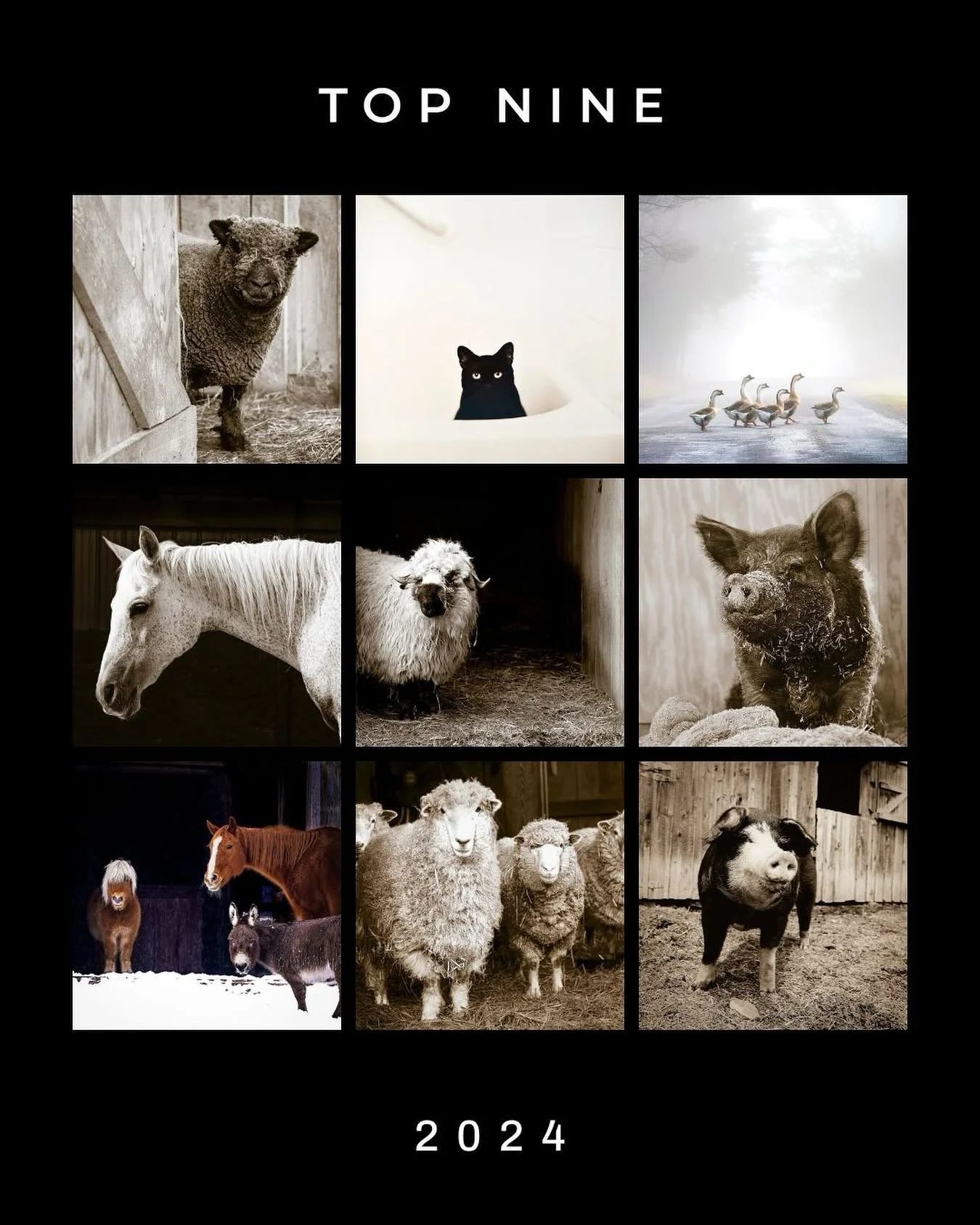 Welcome 2025 and thanks 2024 for a wonderful year. Happy New Year!