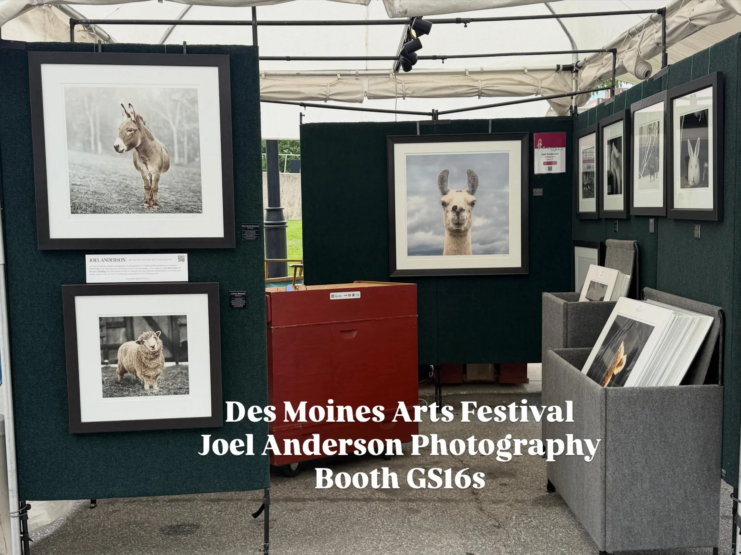 I&rsquo;m set up in lovely Iowa for the @desmoinesartsfestival which starts now 🌻 I&rsquo;ll be in booth GS16 with new work and some classics from my Sanctuary project. 
#fineartphotography #desmoinesartfestival