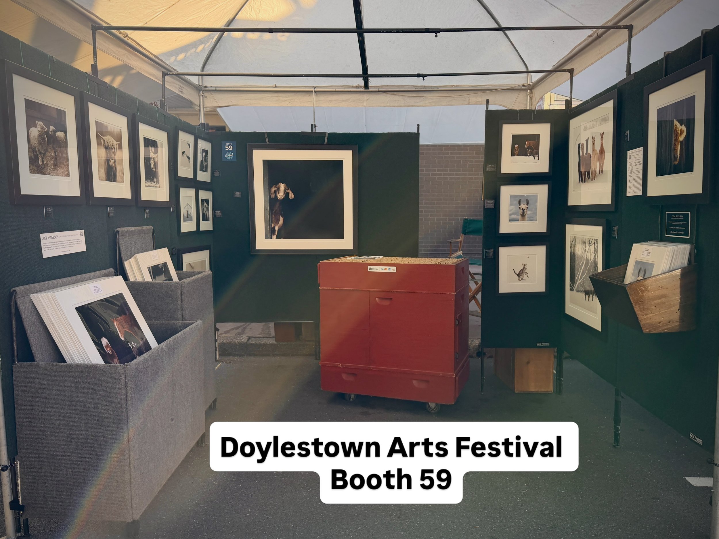 Today and tomorrow I&rsquo;m @doylestownartsfestival in boooth 59 #fi̇neartphotography #doylestownartsfestival
