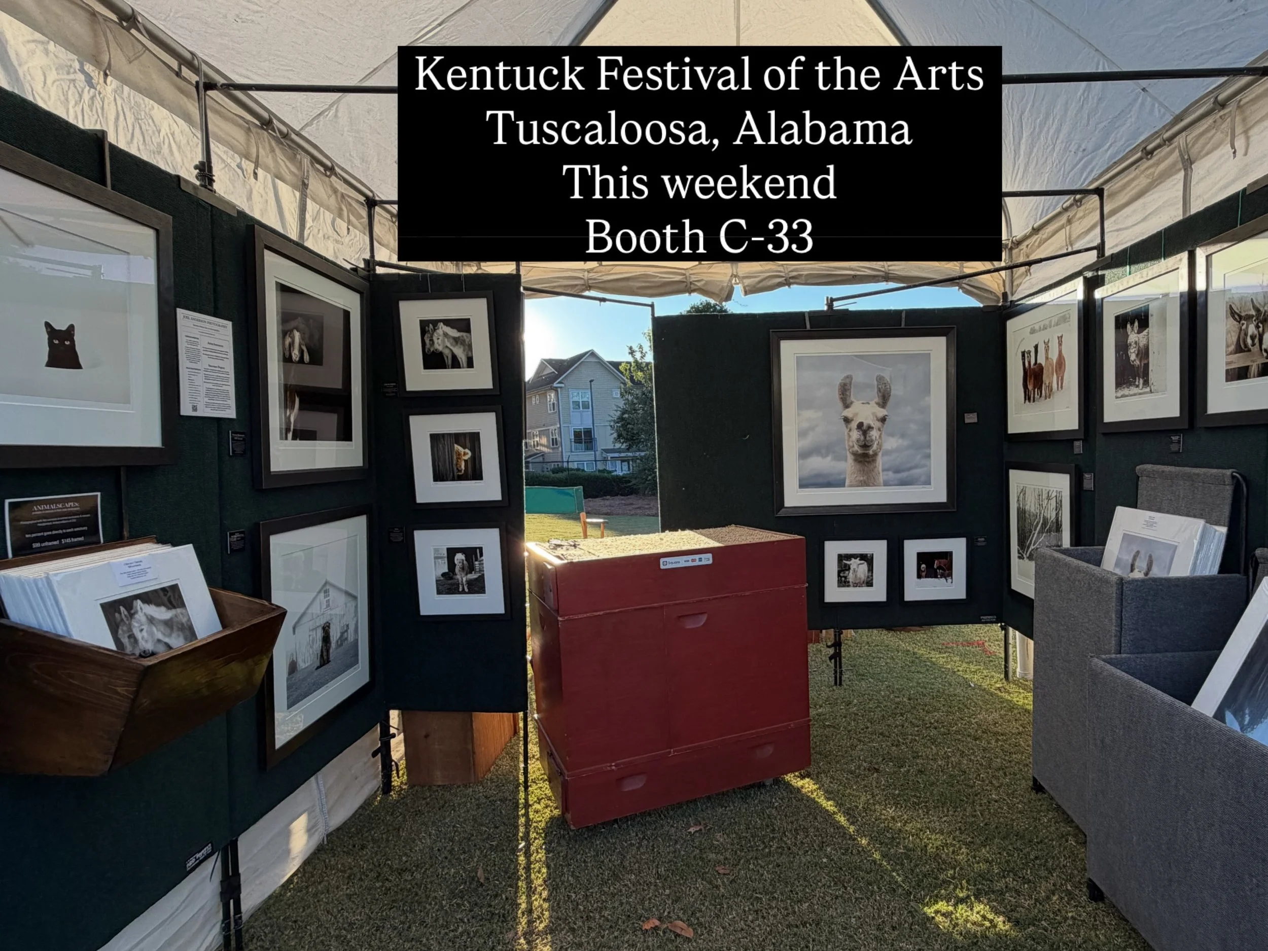 I&rsquo;m in Alabama this weekend for the @kentuckart Kentuck Festival of the Arts, booth C-33. #kentuckfestival #tuscaloosaalabama #fineartphotography