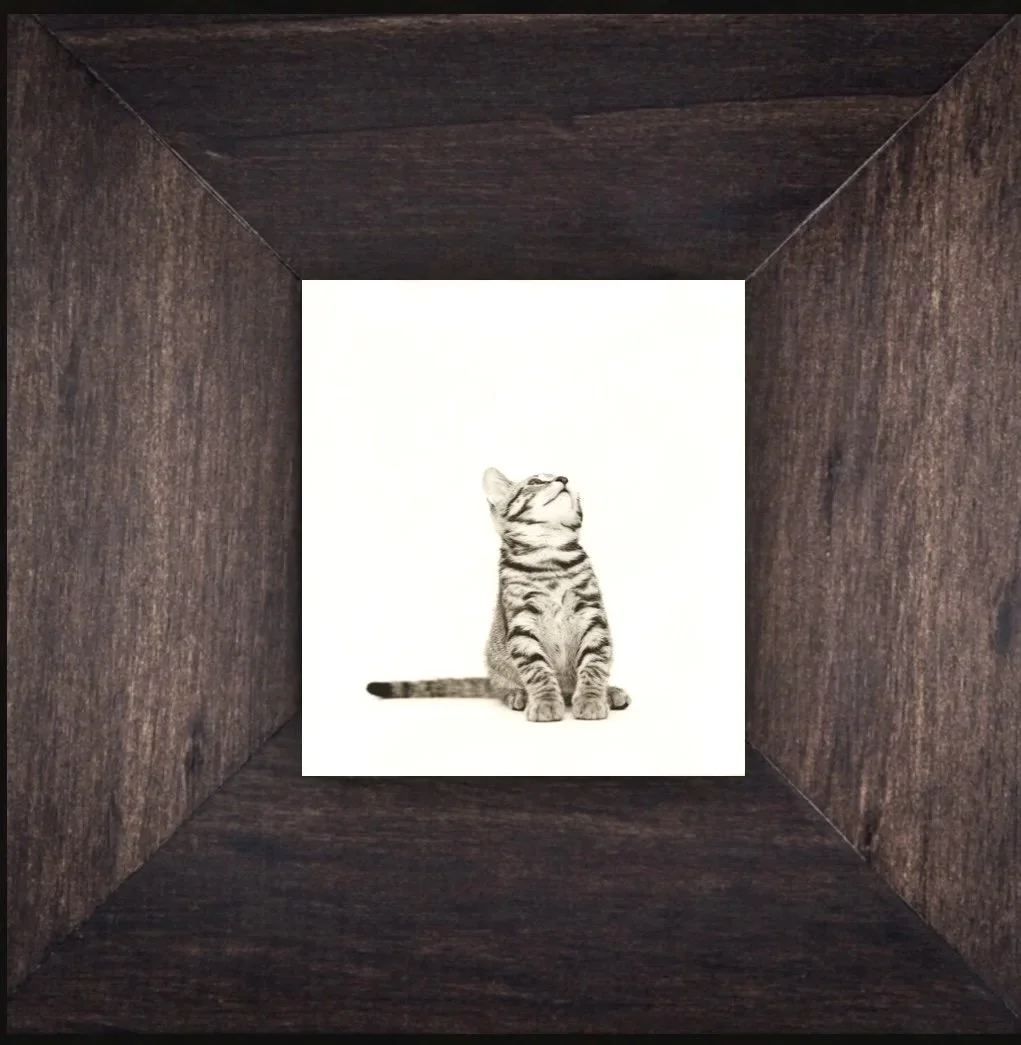 Tiny Worlds:  Maggie