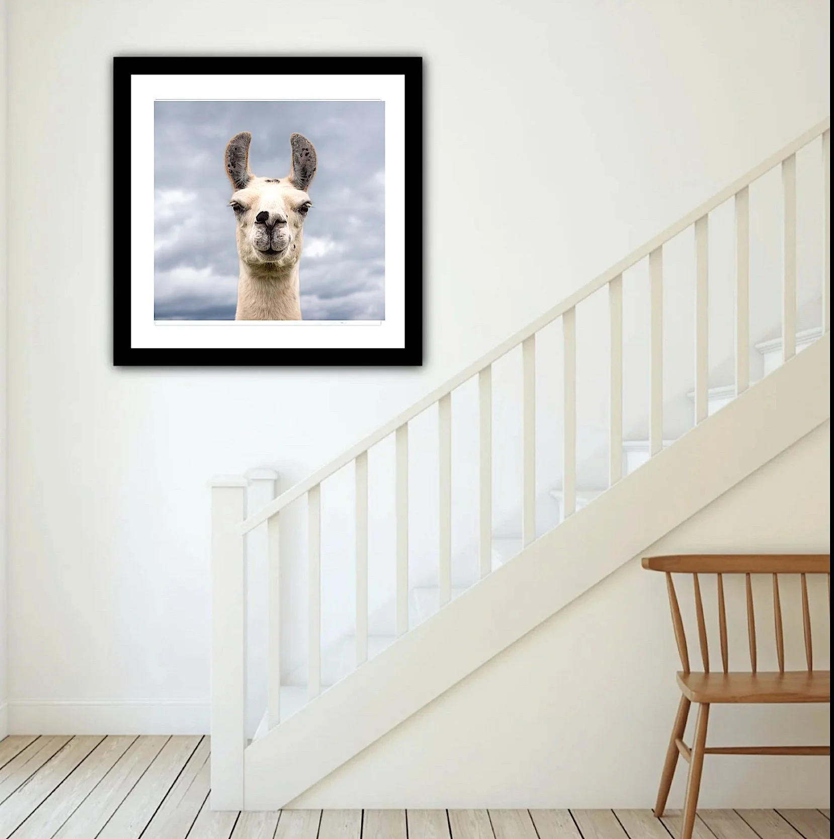 WallPictureApp - Stella.JPG