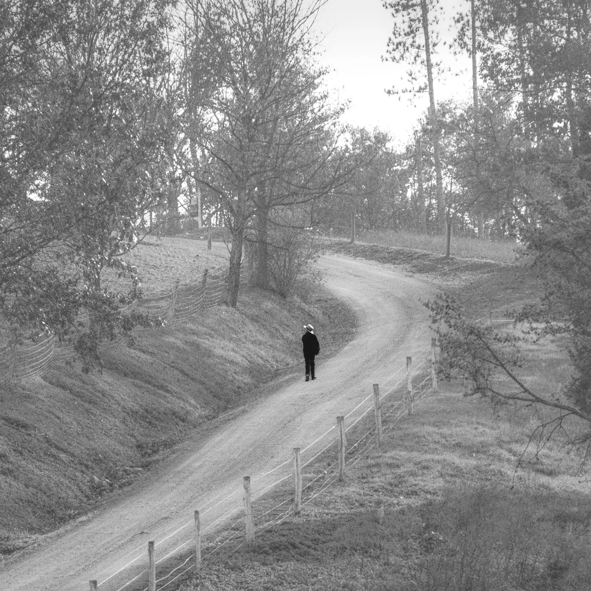 New: Eli in the Lane