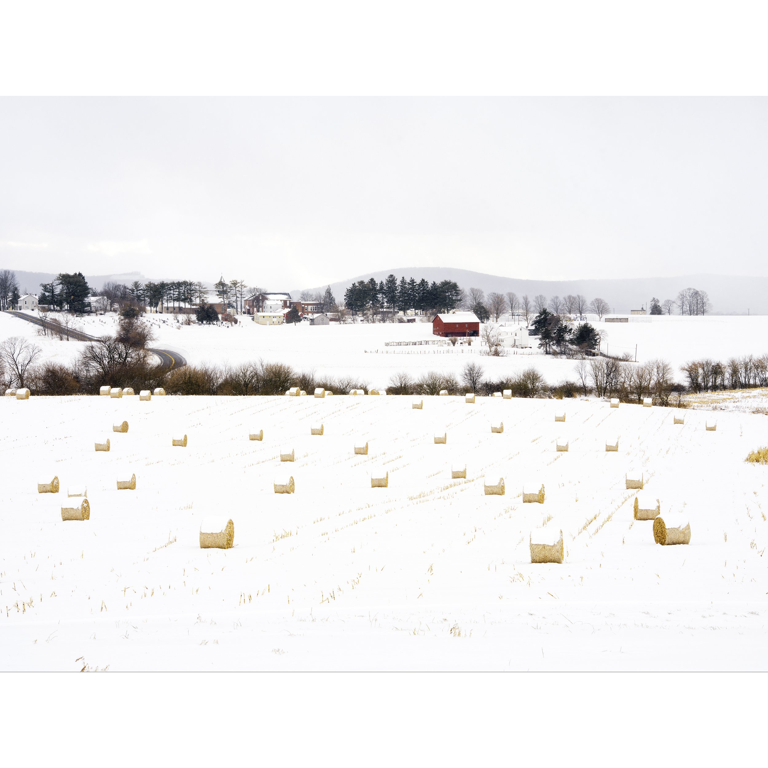 Berrysburg website ver with white.jpg