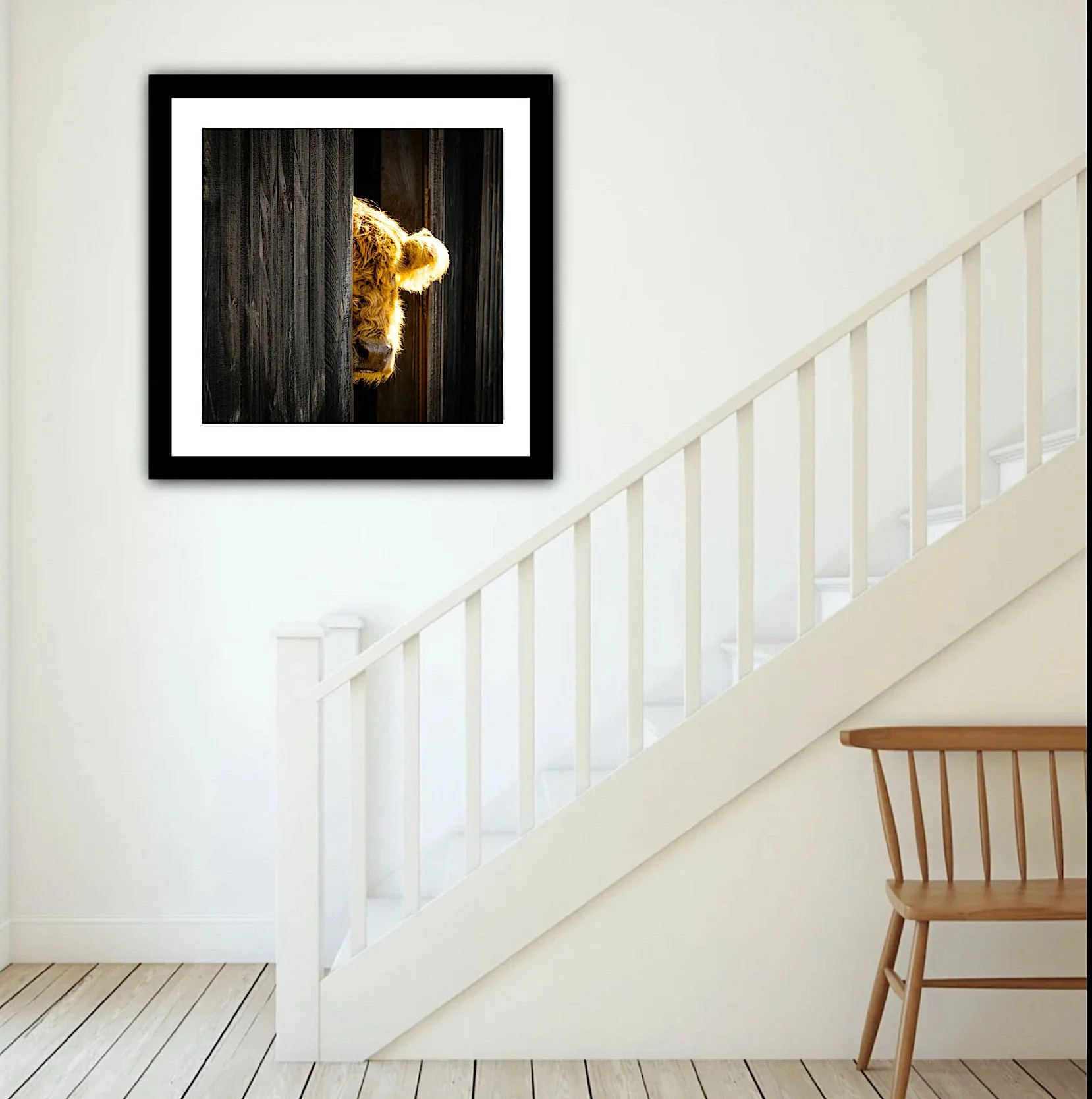 WallPictureApp - Stella 2.JPG