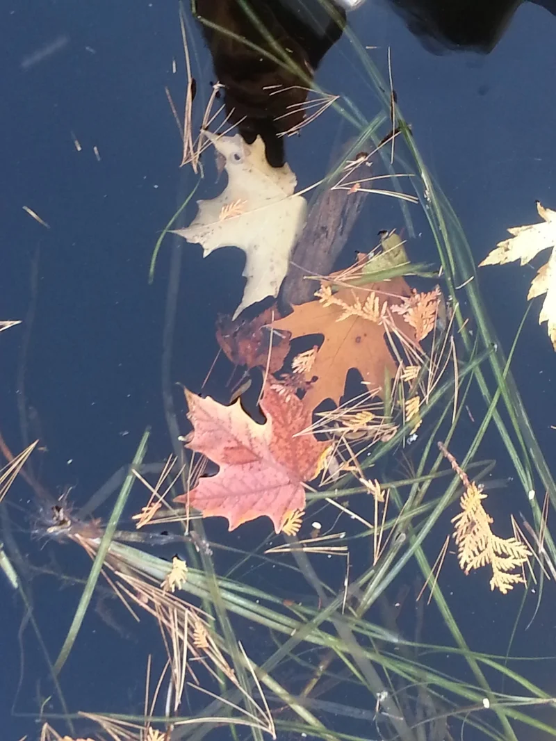 20141006_160216.jpg