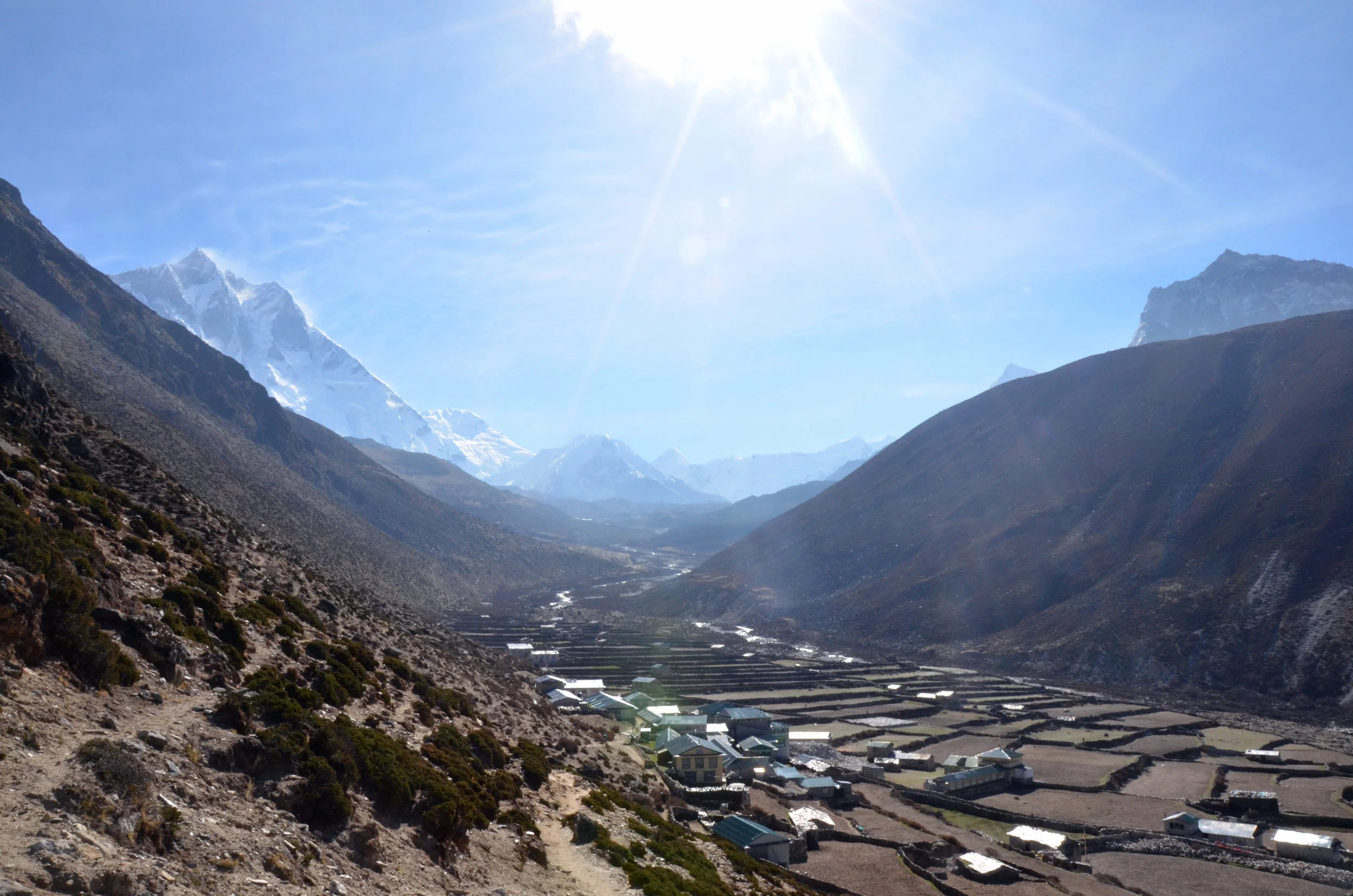 DSC_2909.jpg