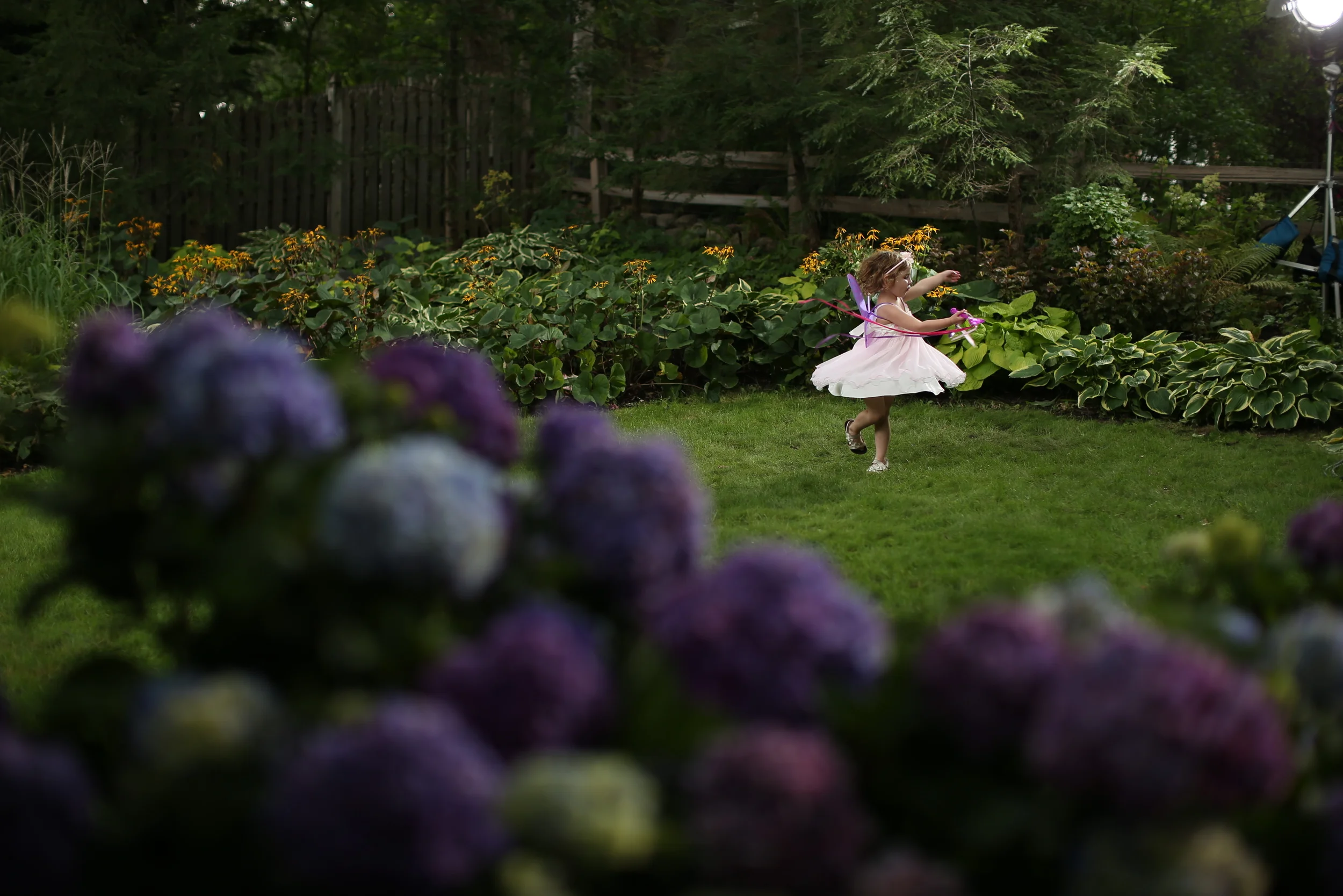 bailey endless summer 2626.JPG