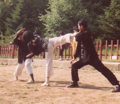 White Tiger Academy, S. Korea