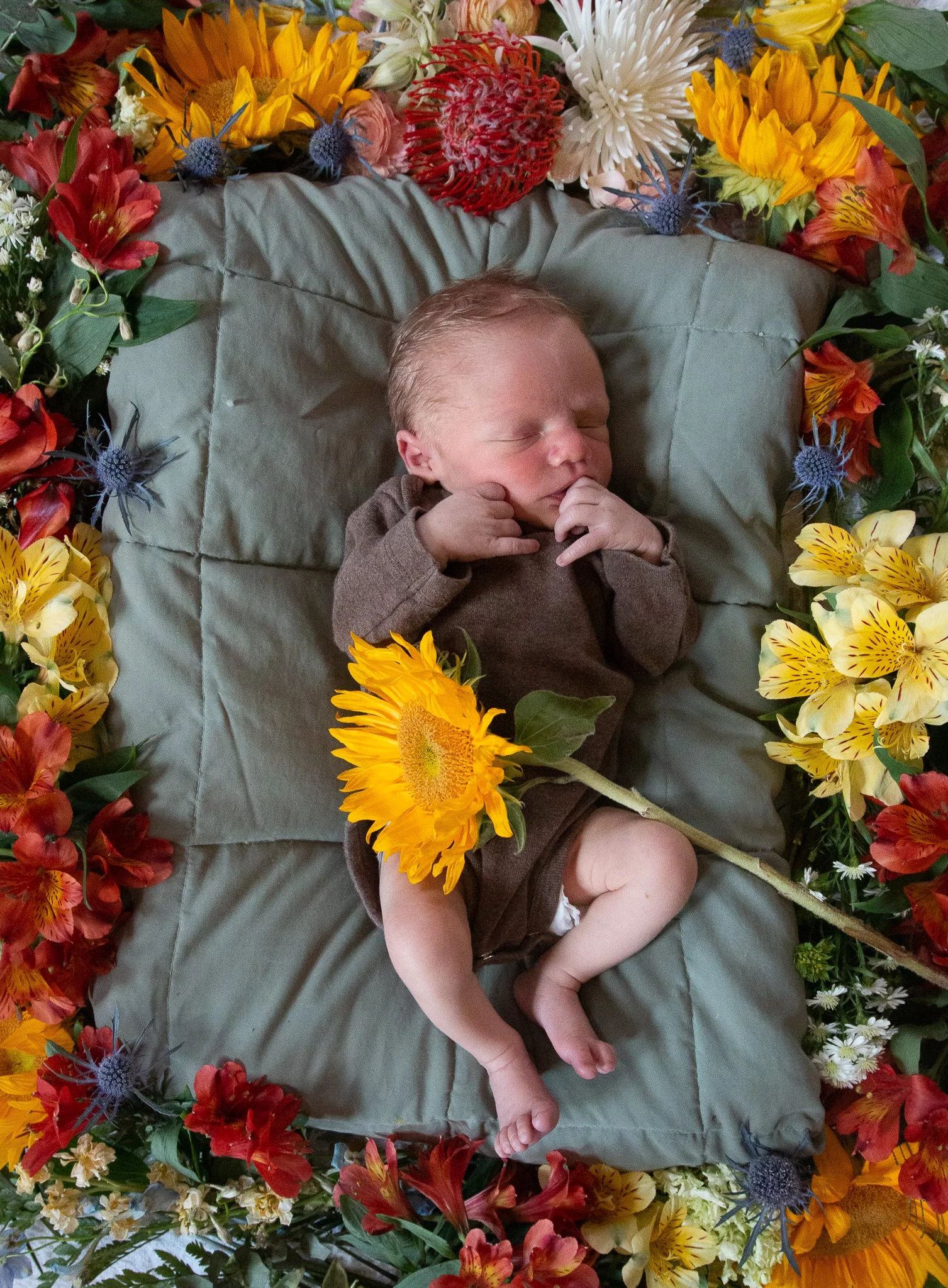 Revi One Month-01.jpg