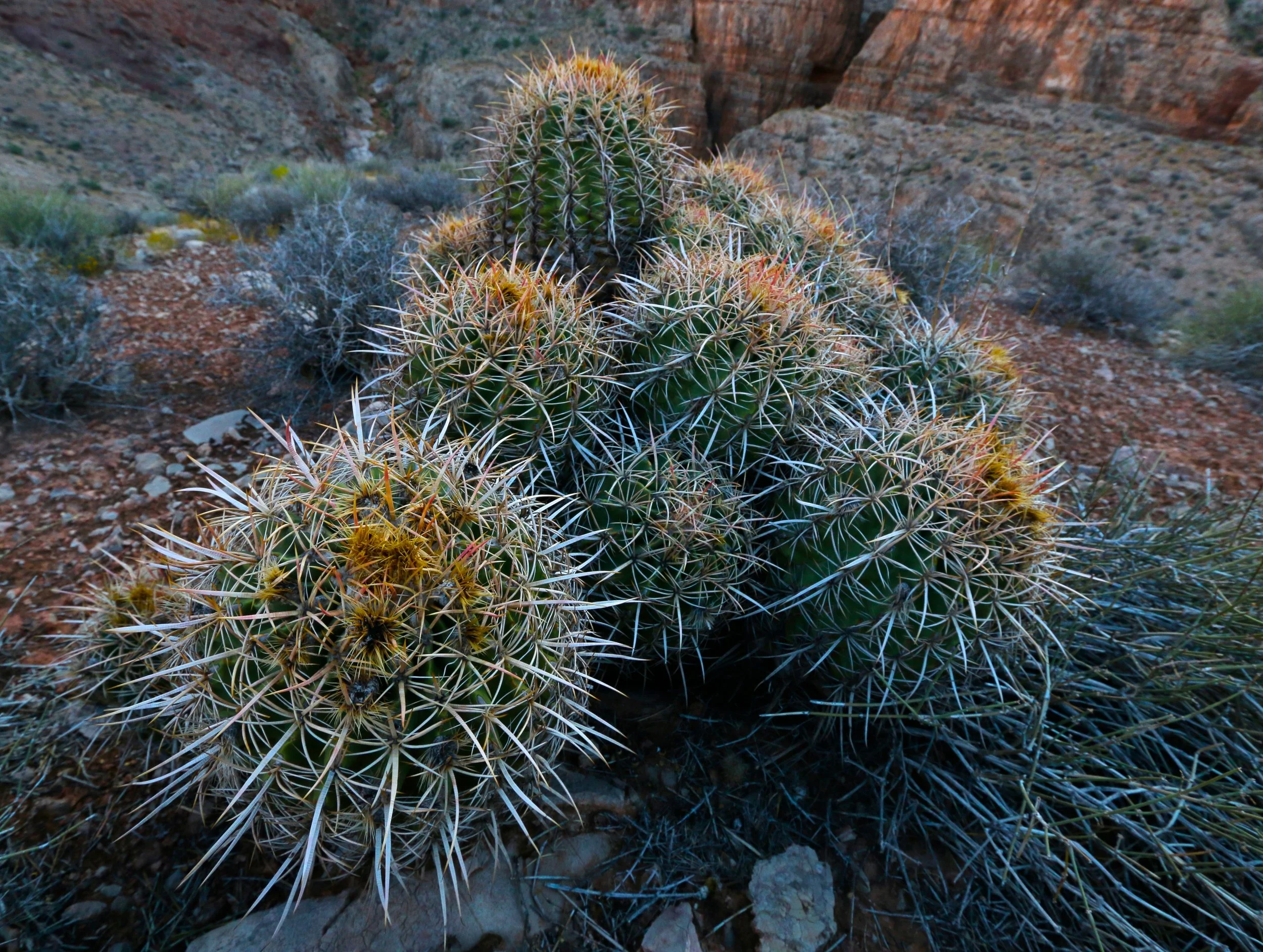 IMG_0472 - Version 2.JPG