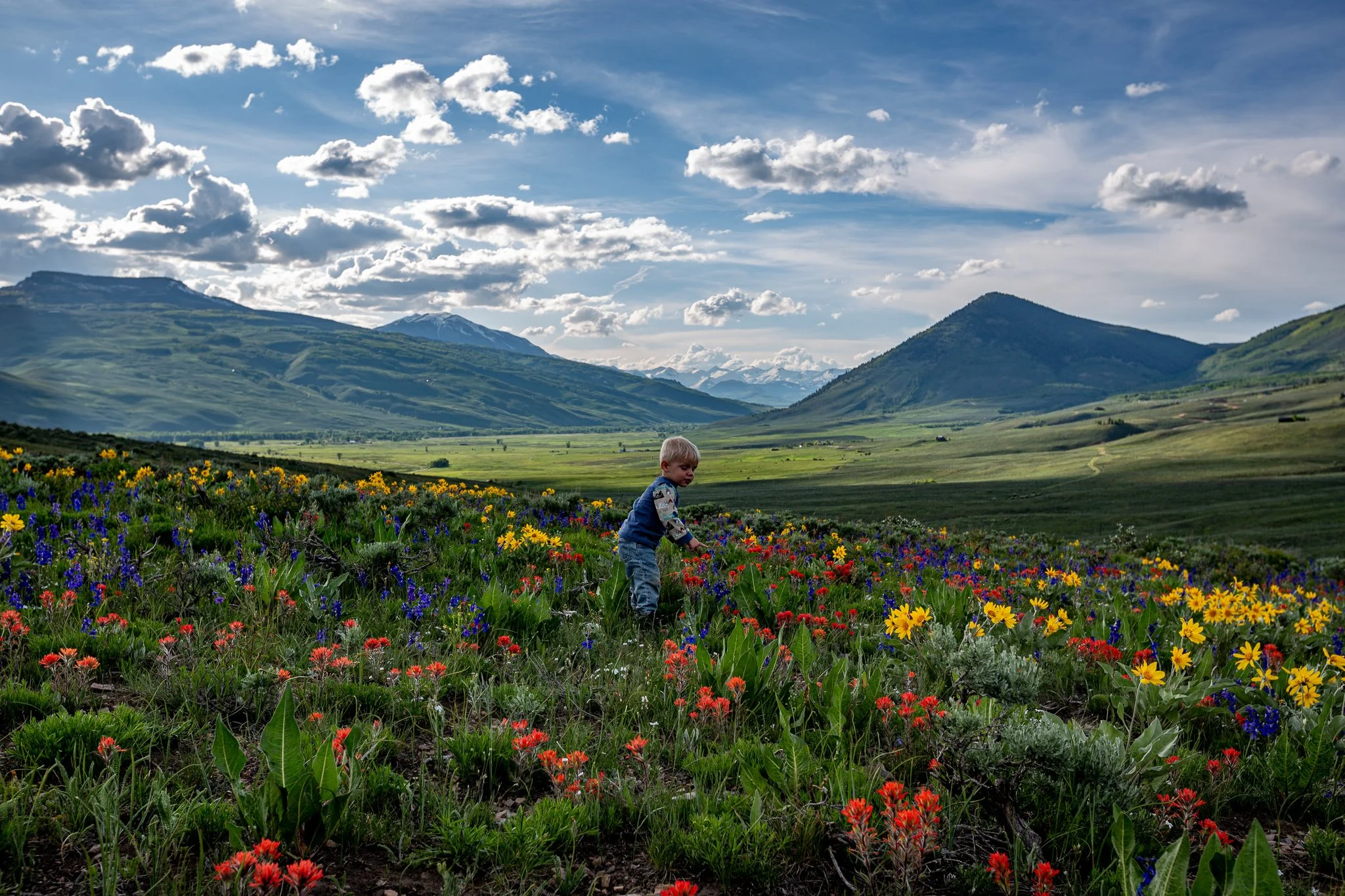 Almont Triangle711.jpg