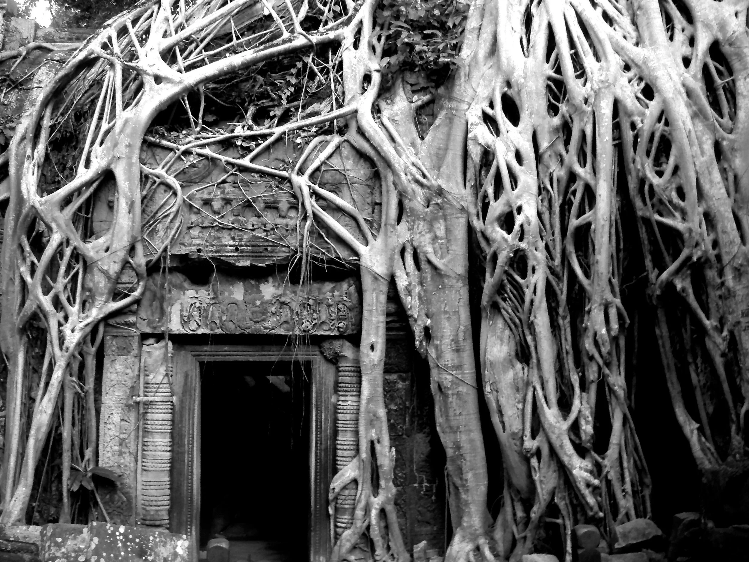 TSM-Southeast Asia.jpeg