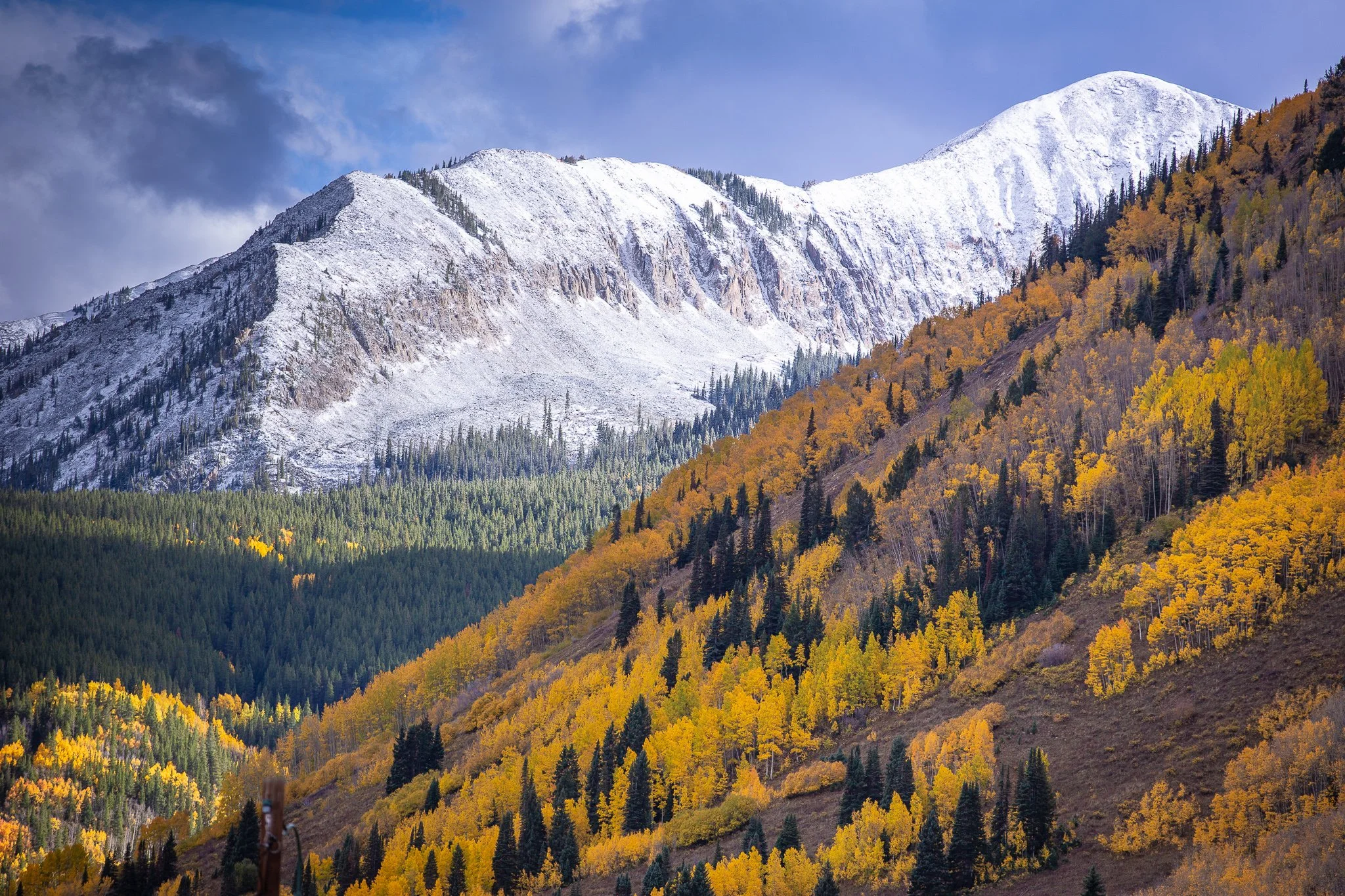 Fall23-27.jpg
