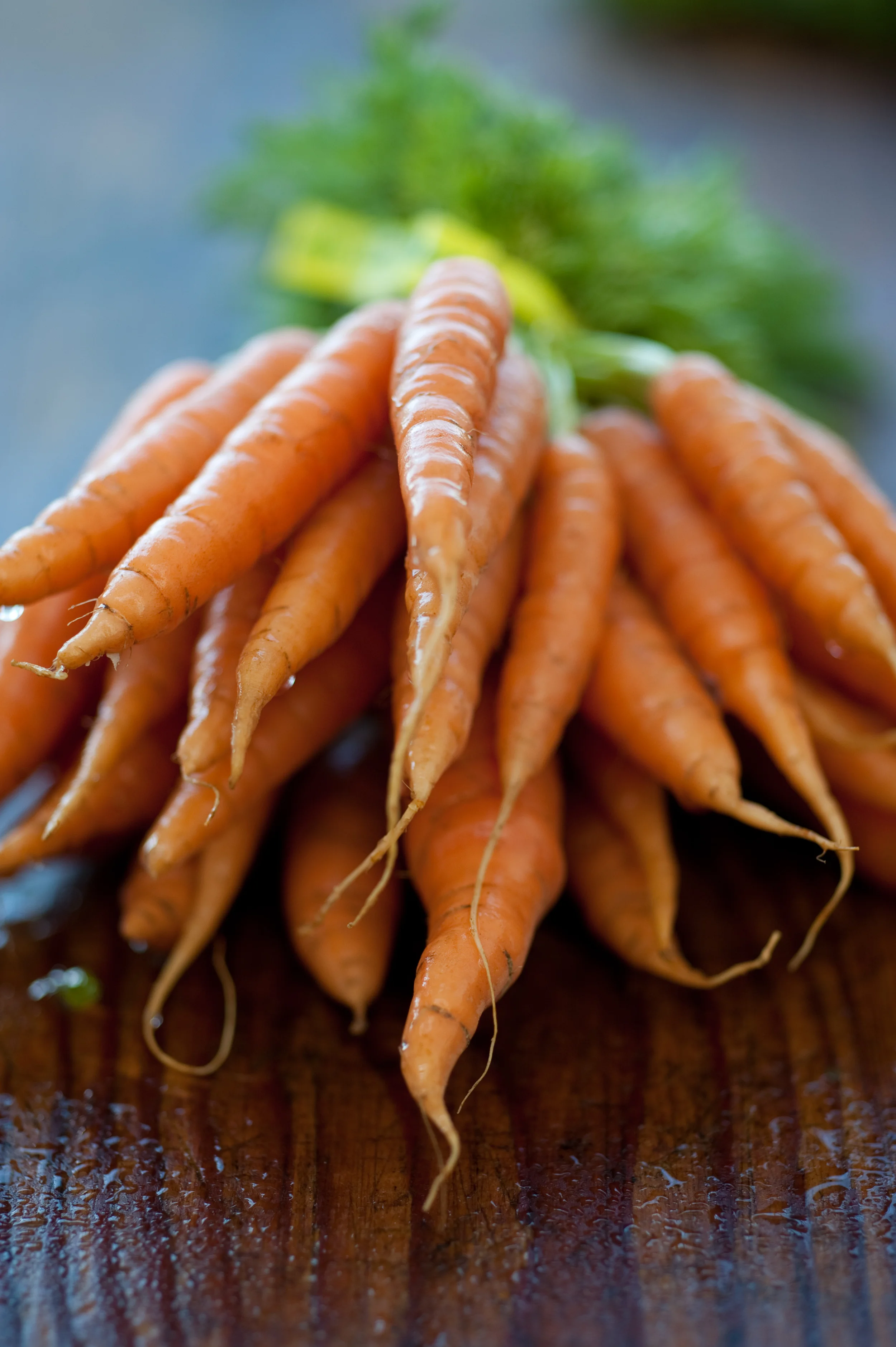 MelissaHayesPhoto_Carrots-50.jpg