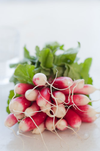 MelissaHayesPhoto_Food-1b.jpg