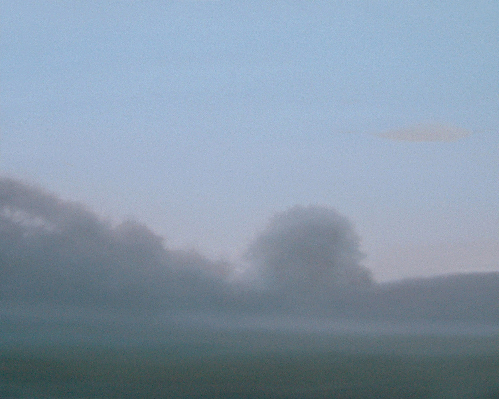 2006FirstLight48X60 copy 2.jpg