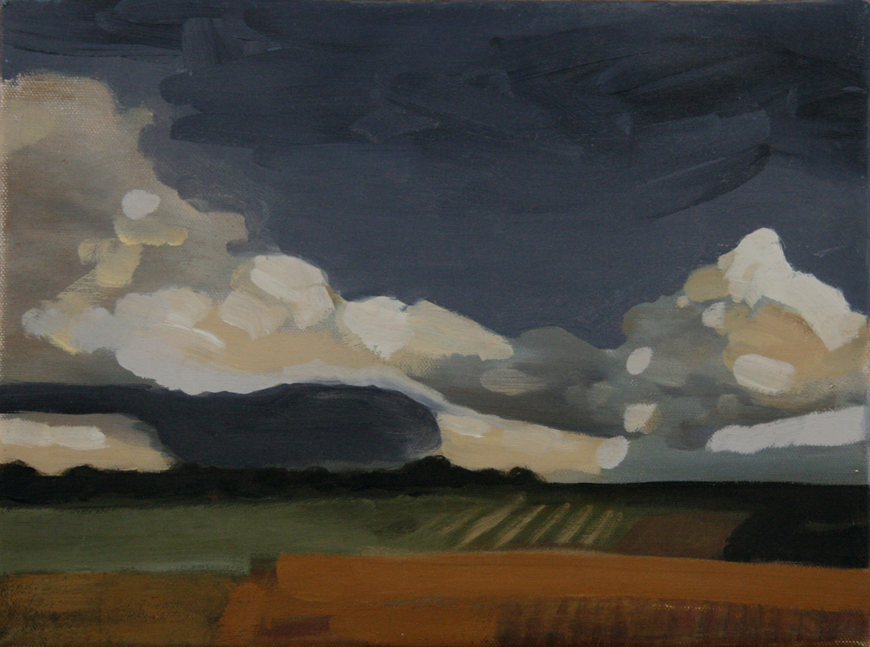 1998FieldStudyThree9X12.jpg