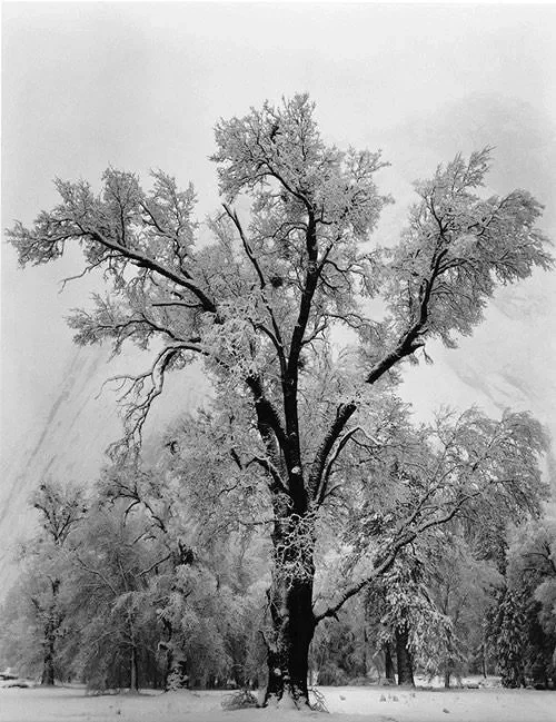 Ansel Adams